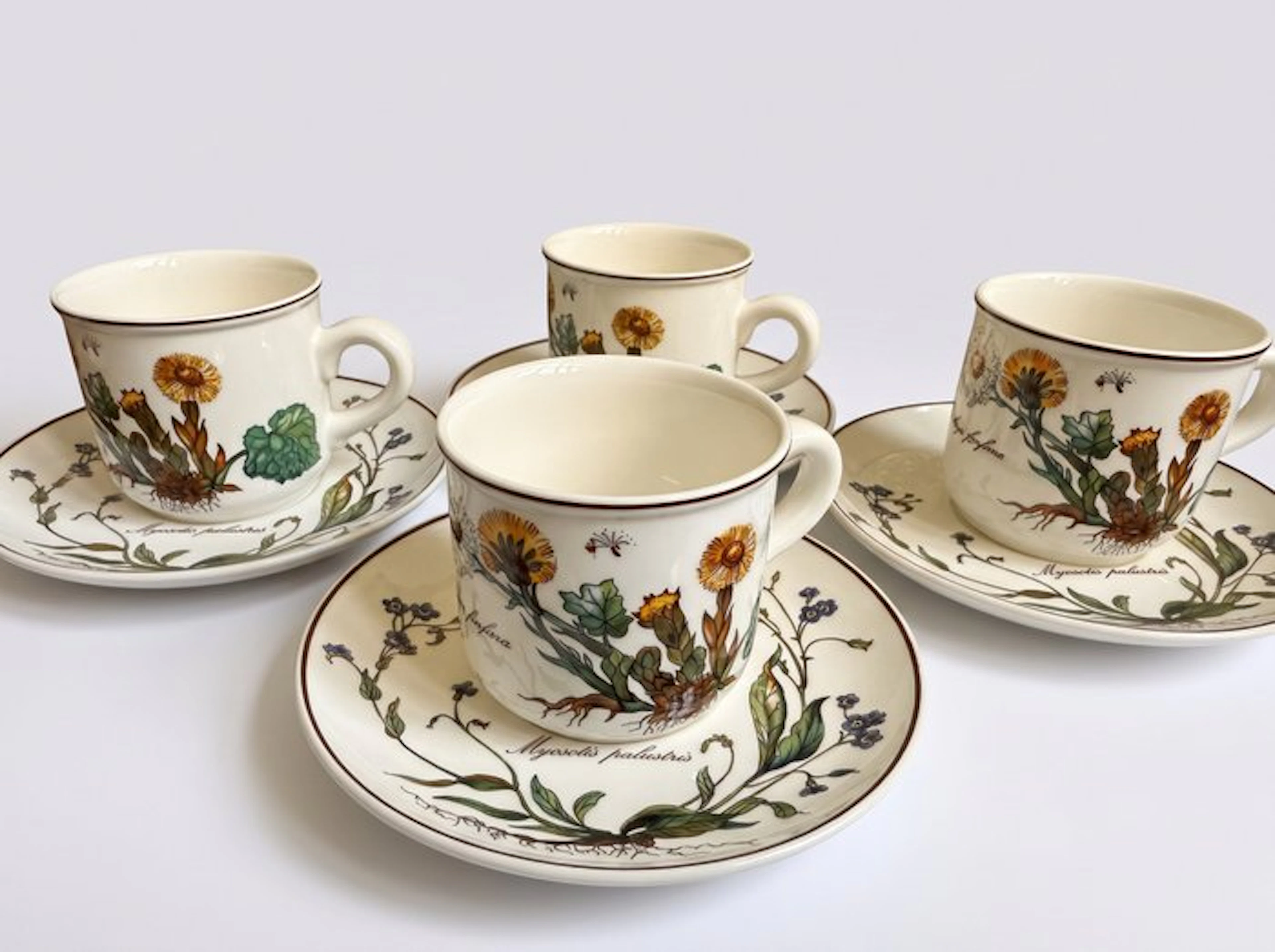 Villeroy & Boch - Coffee service (8) - Botanica - Porcelain - 4 cups