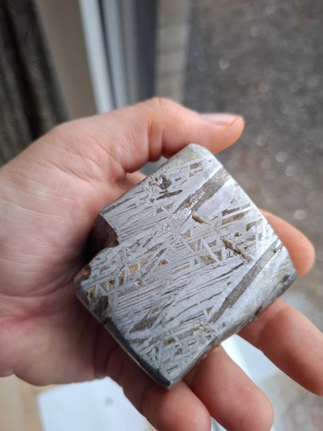 Aletai meteorite Slice - Height: 5.55 cm - Width: 5.45 cm - 718 g - (1)