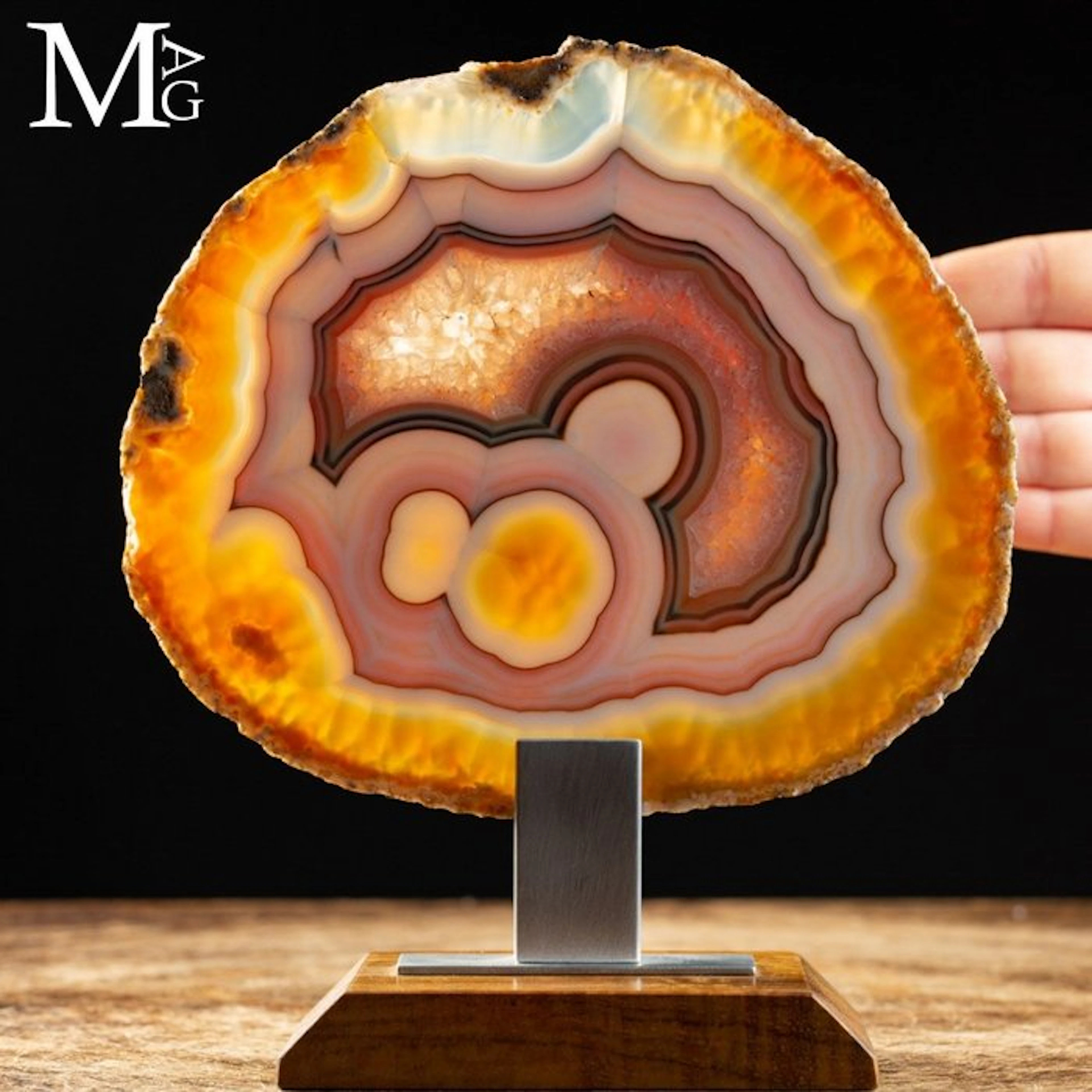 Polychrome Agate Slice with Fiery Orange and Yellow Bands...