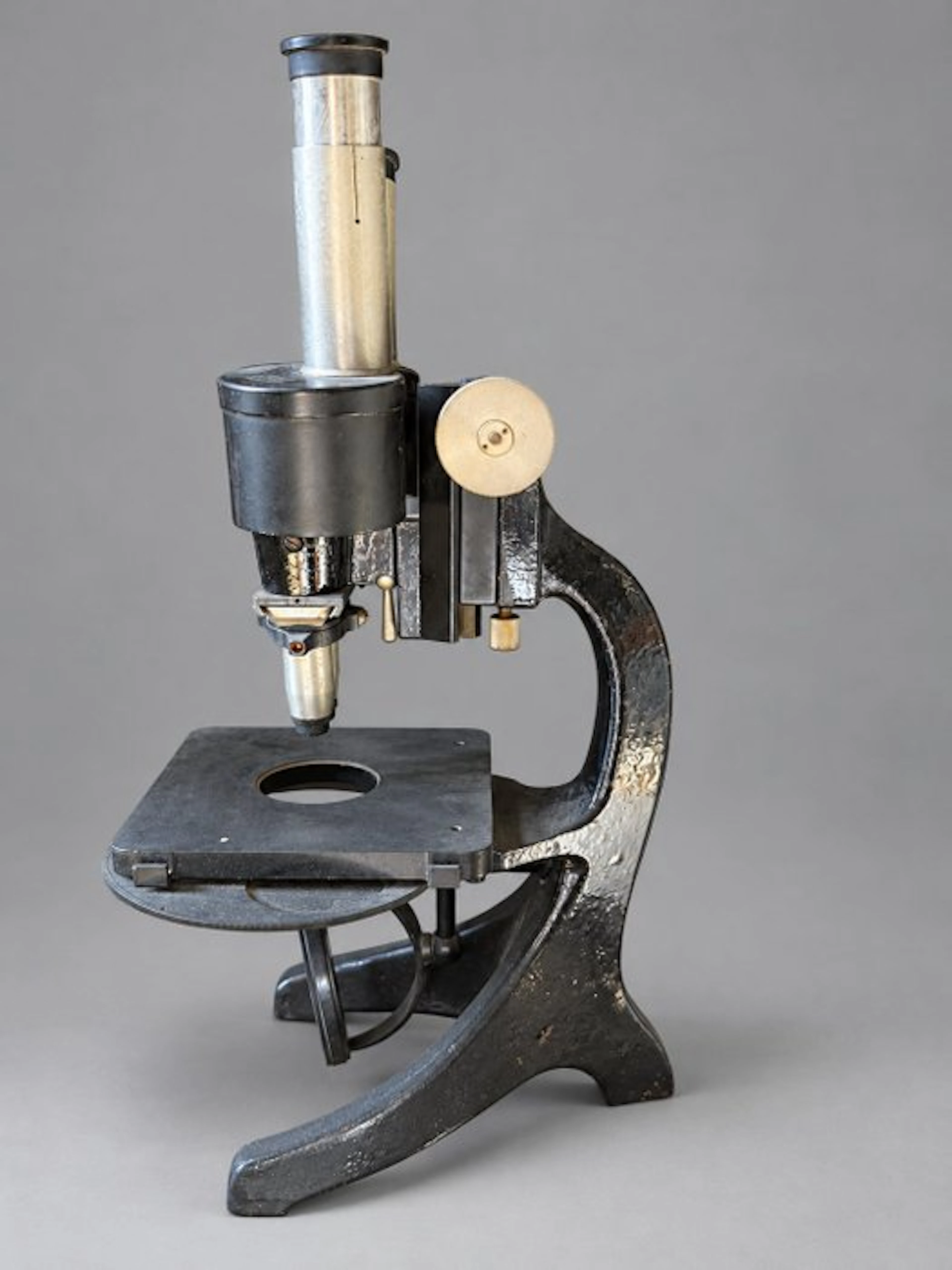 Binocular compound microscope - 1900-2000 - Carl Zeiss