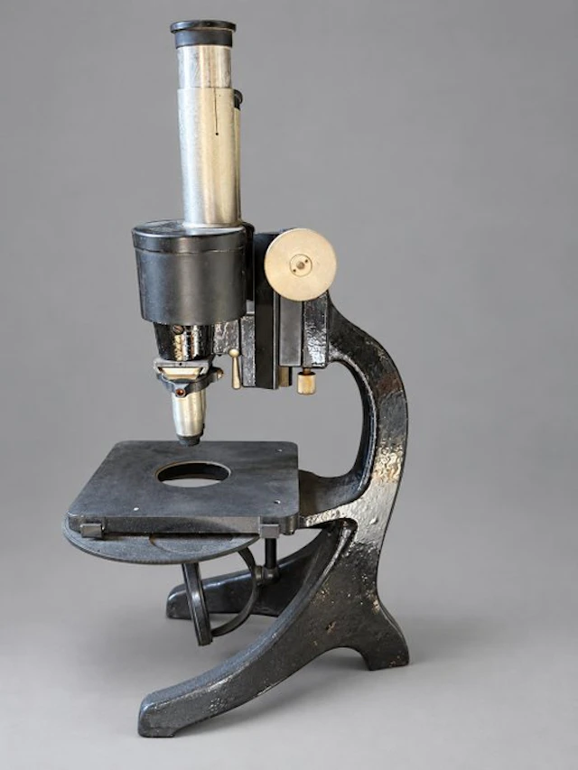 Binocular compound microscope - 1900-2000 - Carl Zeiss
