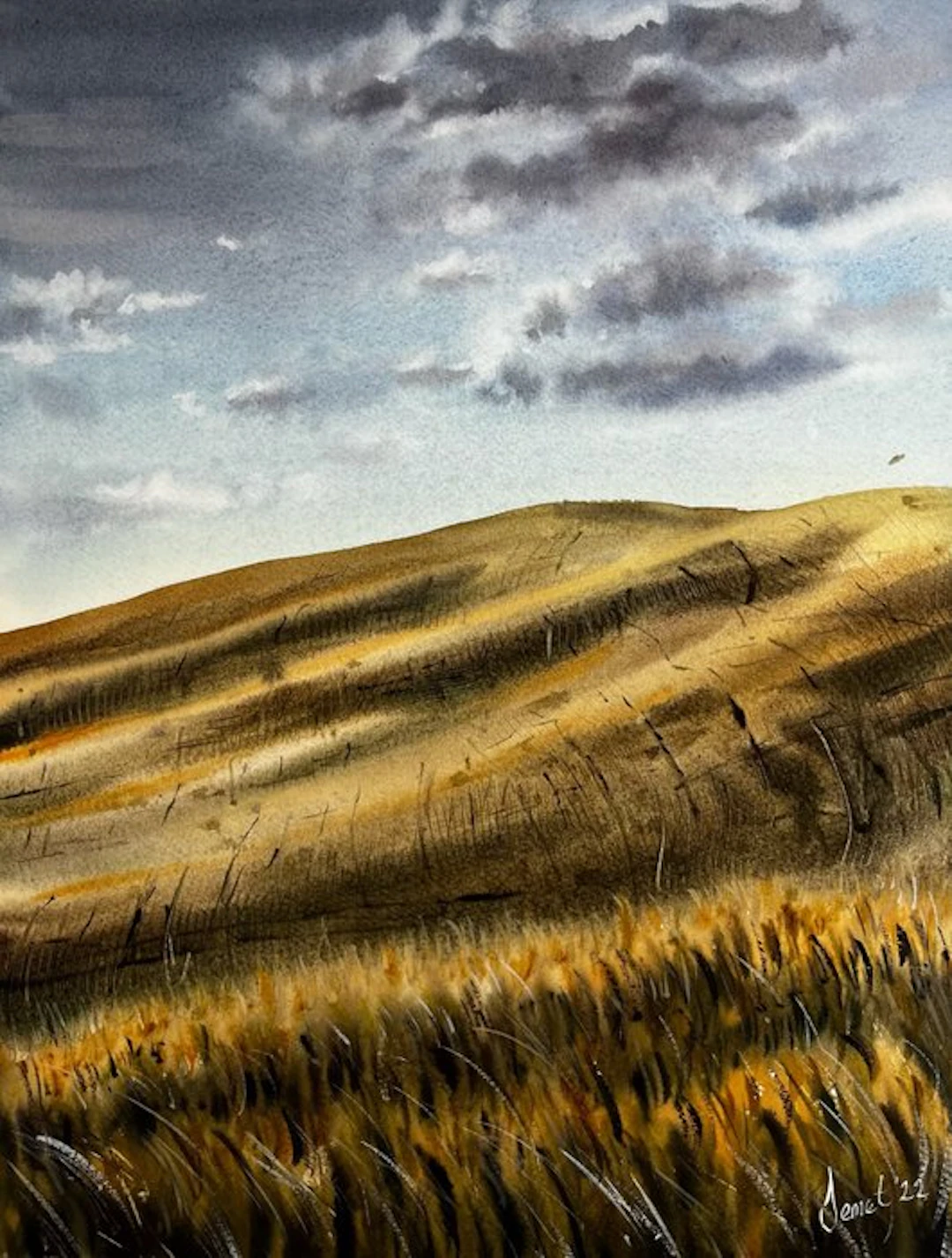 Inci Demet Onvural - Wheat Field