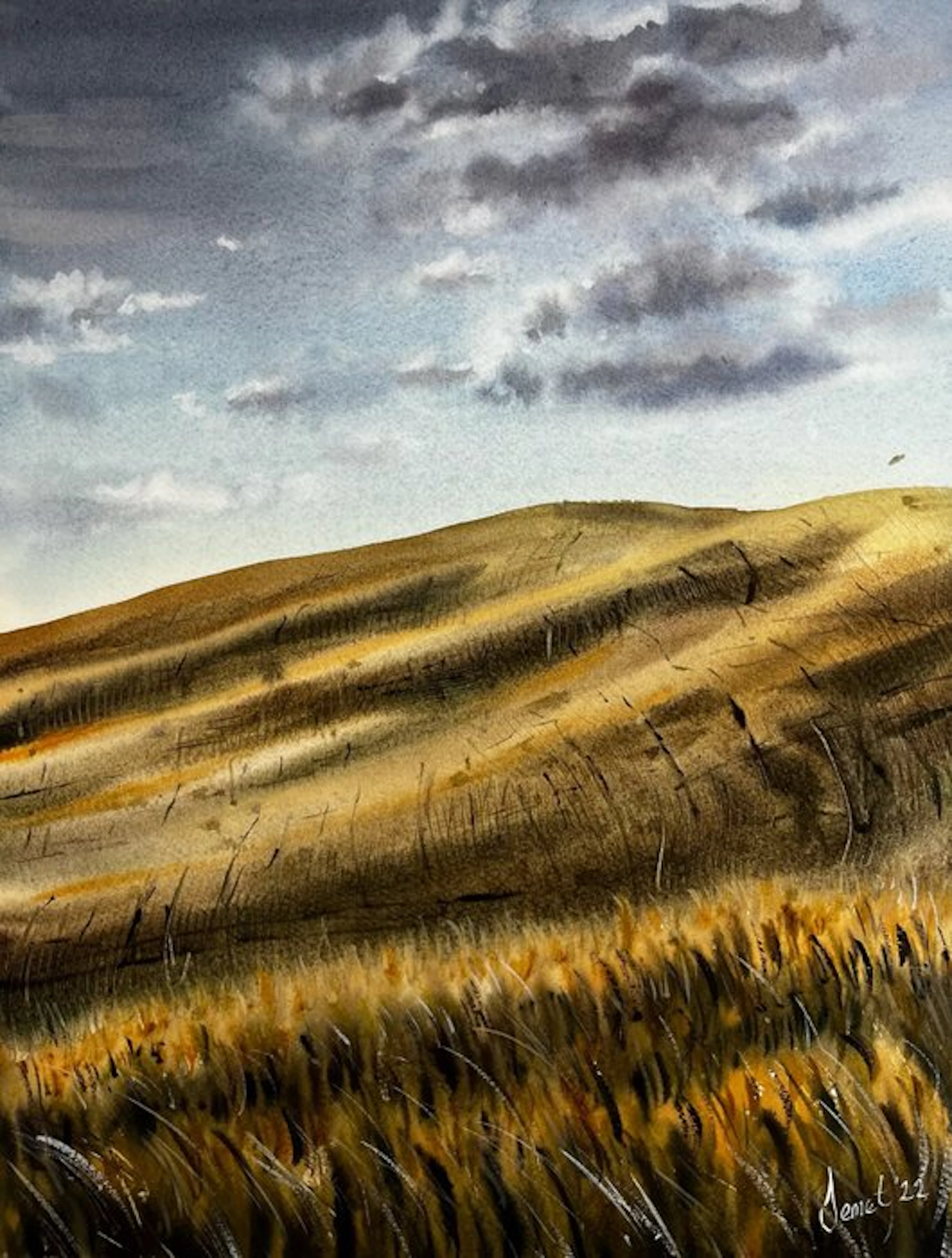 Inci Demet Onvural - Wheat Field