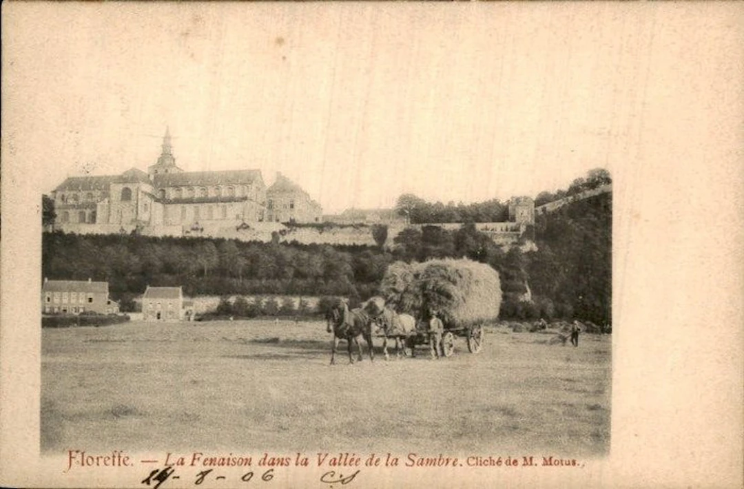 Belgium - Province Names - Postcard (148) - 1900-1999