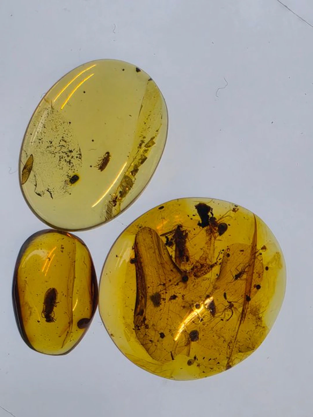Burmese amber - Amber - Collection of Three Burmese Amber...