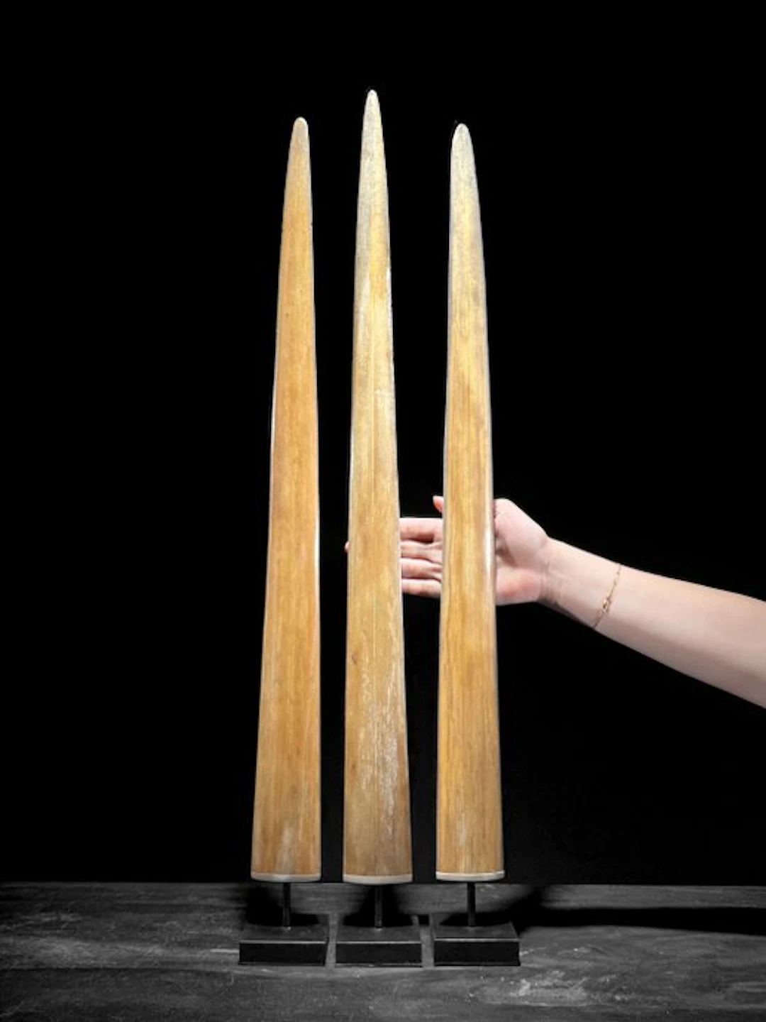 NO RESERVE PRICE - Stunning set of 3 Swordfish Tusks...