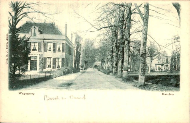 Netherlands - Haarlem - Postcard (140) - 1900-1999