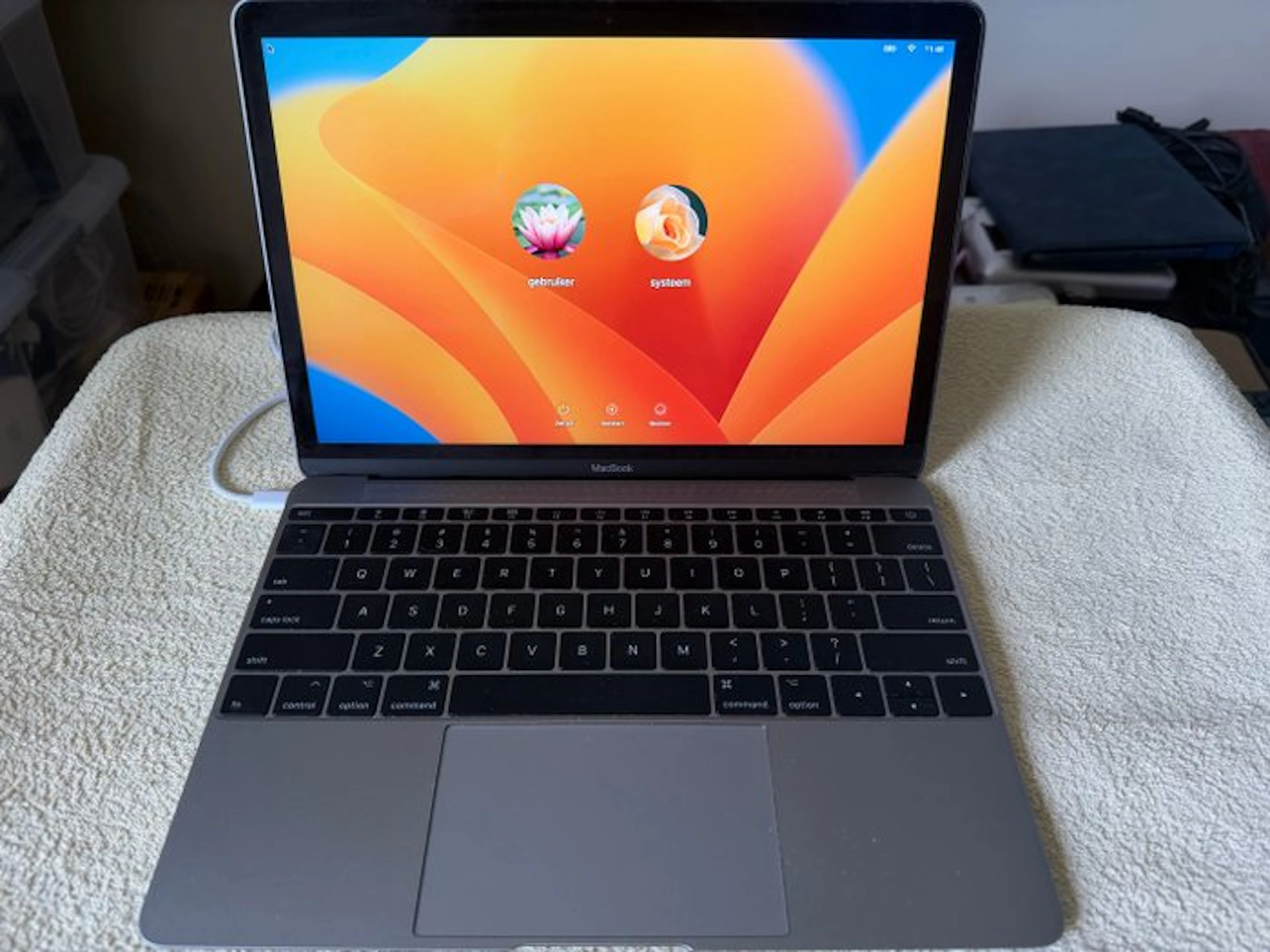 Apple MacBook (Retina, 12-inch, 2017) - Laptop (1) - With replacement box