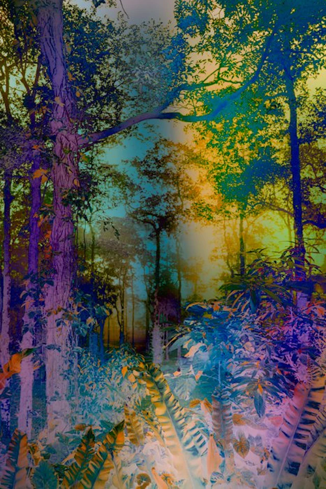 Viet Ha Tran - Shades of Dreams XI
