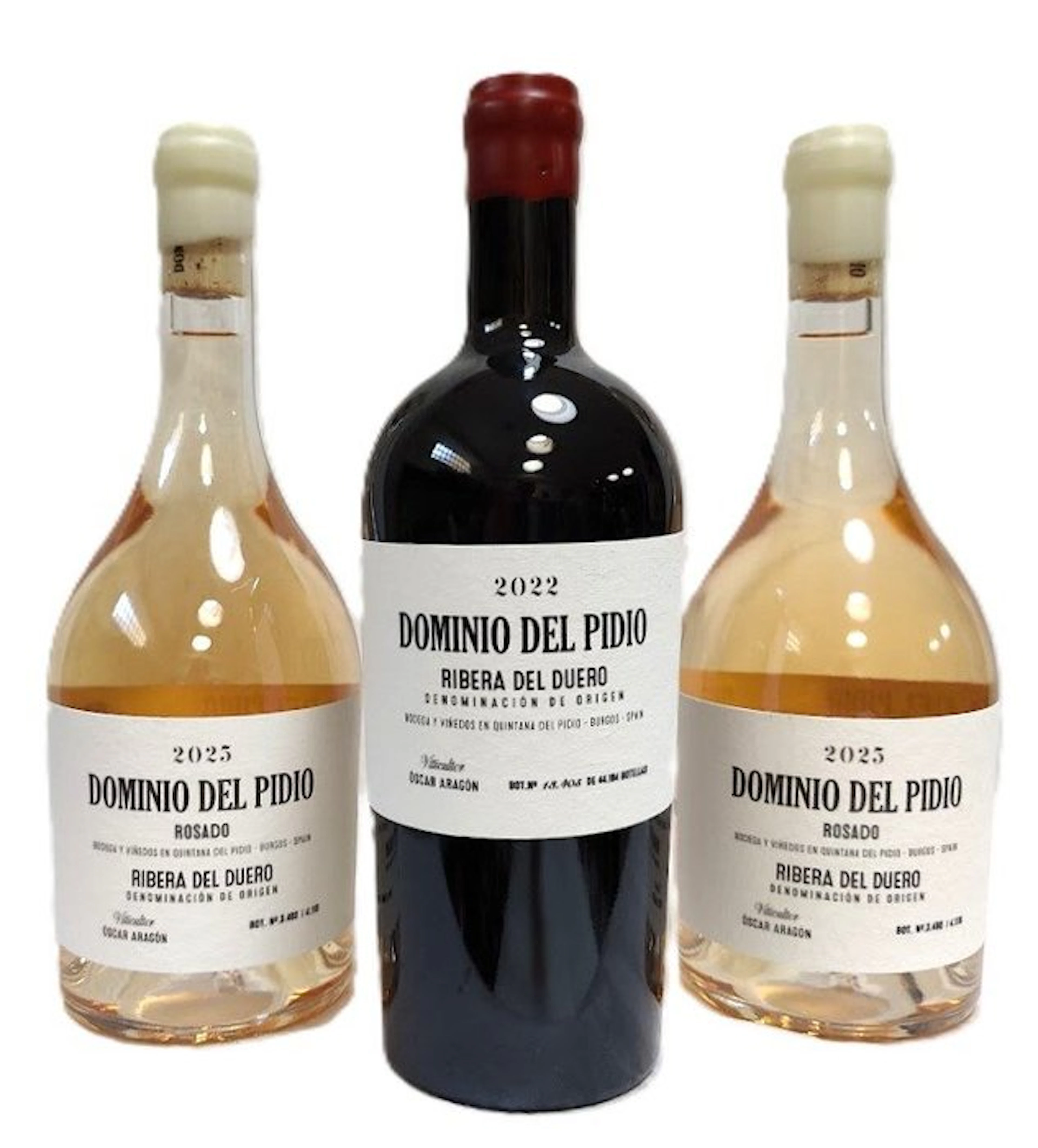 2022 Dominio del Pidio