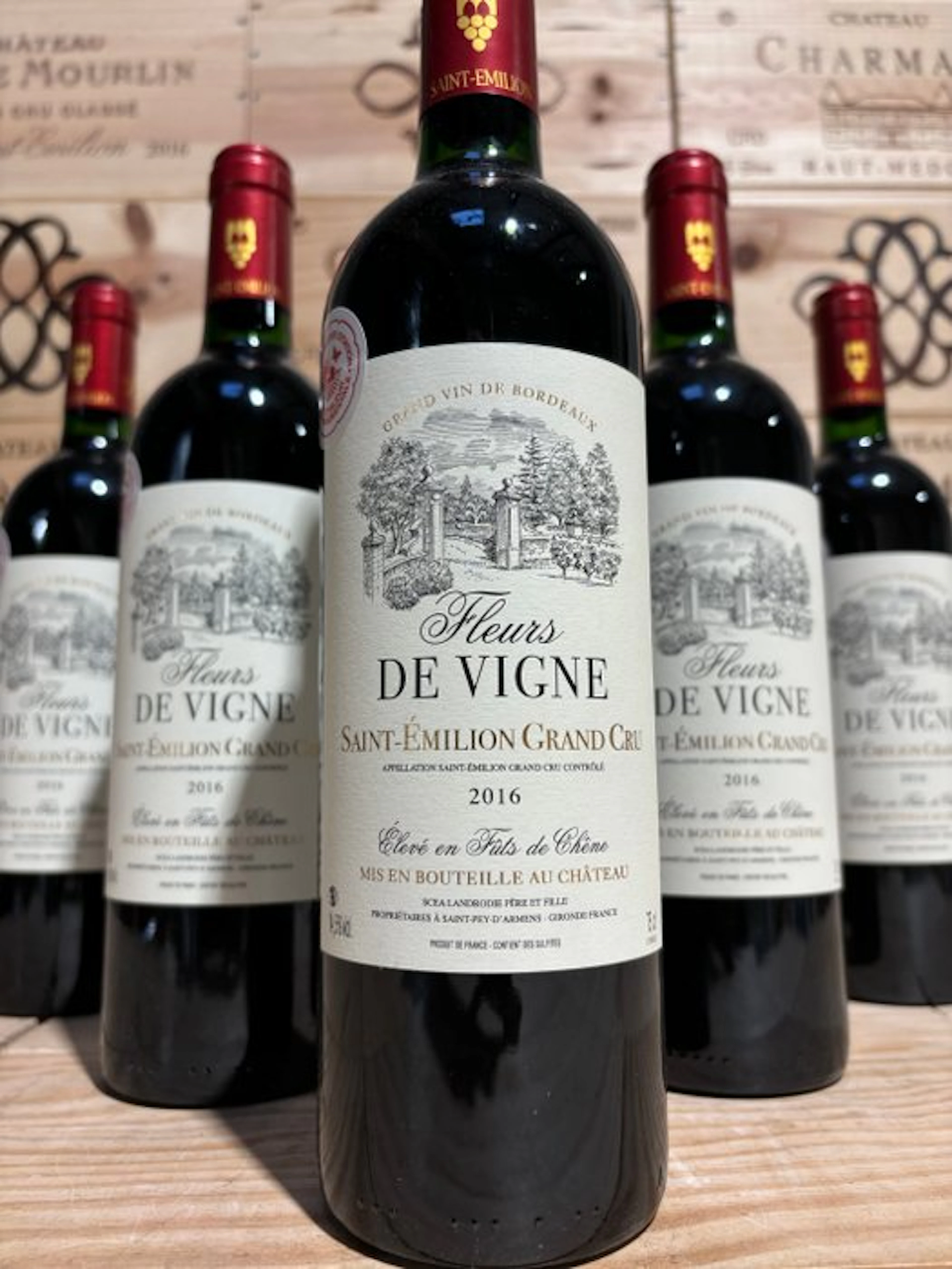 2016 Château La Fleur de Vigne - Saint-Émilion Grand Cru - 6 Bottles (0.75L)