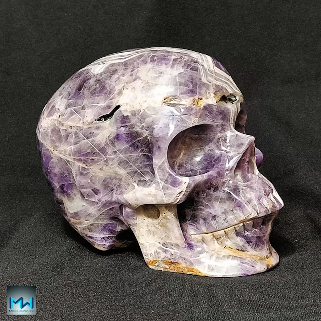 Human Skull 8"