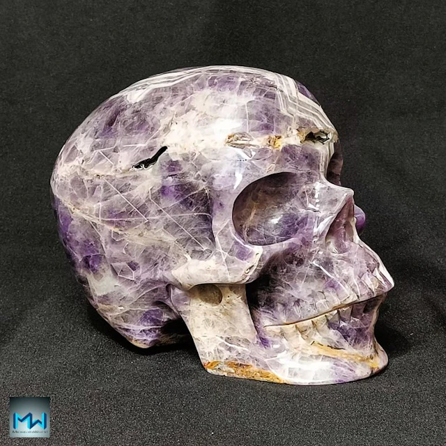 Human Skull 8"