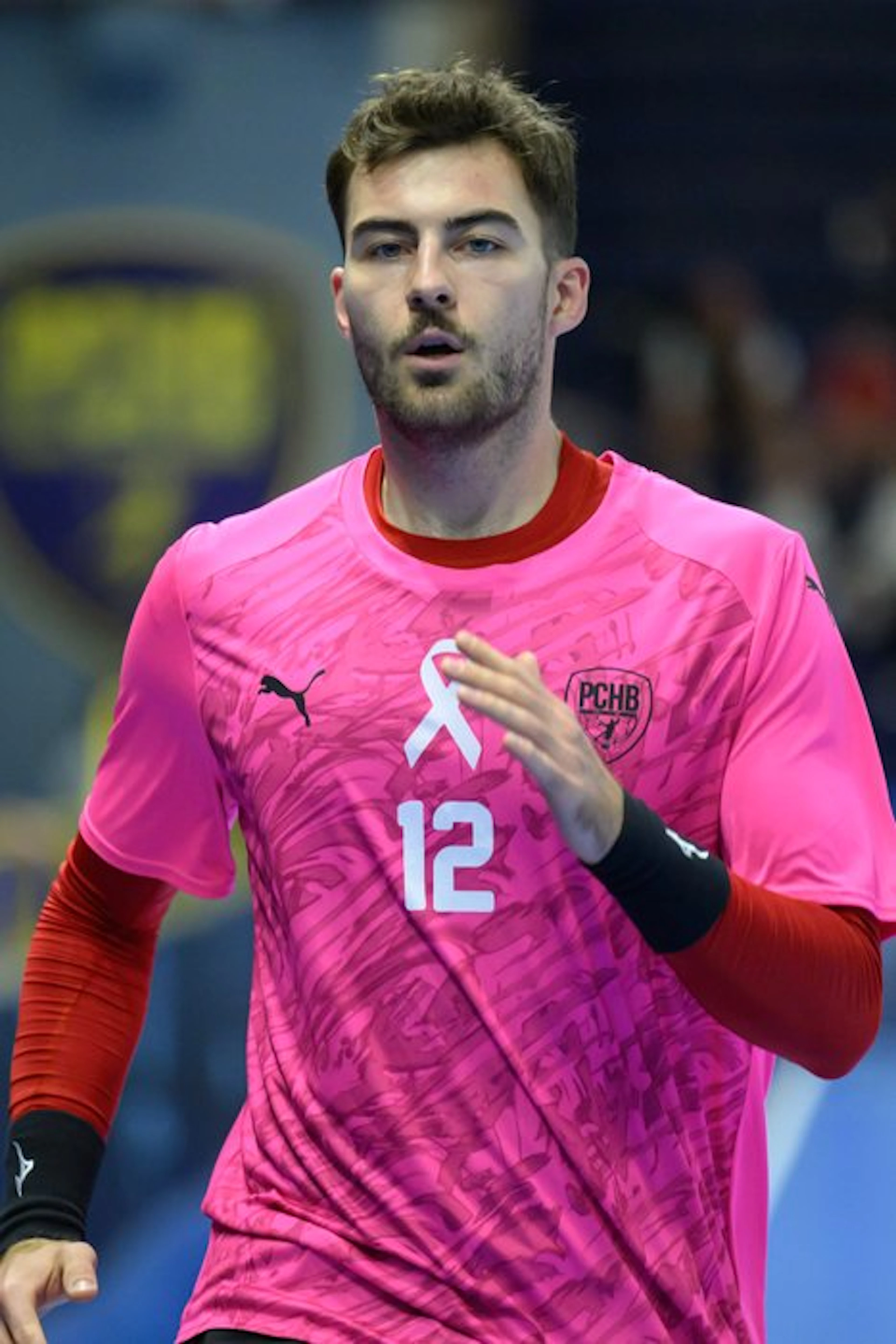 Pontault-Combault Handball - Proligue Championship - Pal...