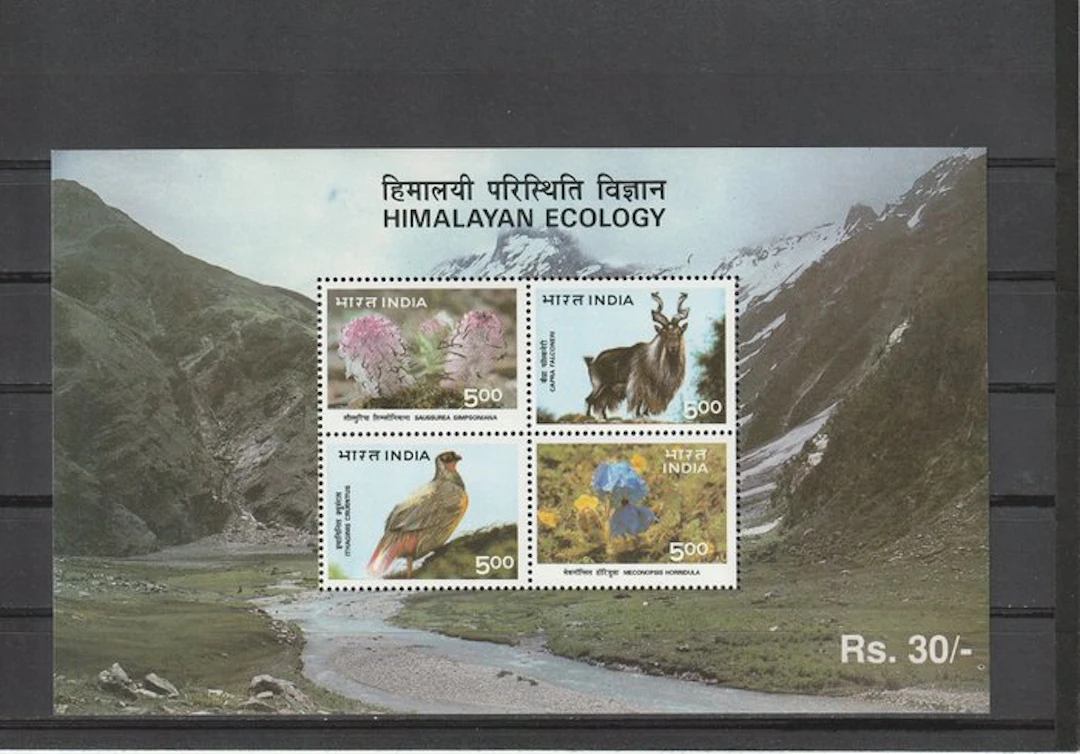 India 1996/2023 - Collection India Mint Never Hanged