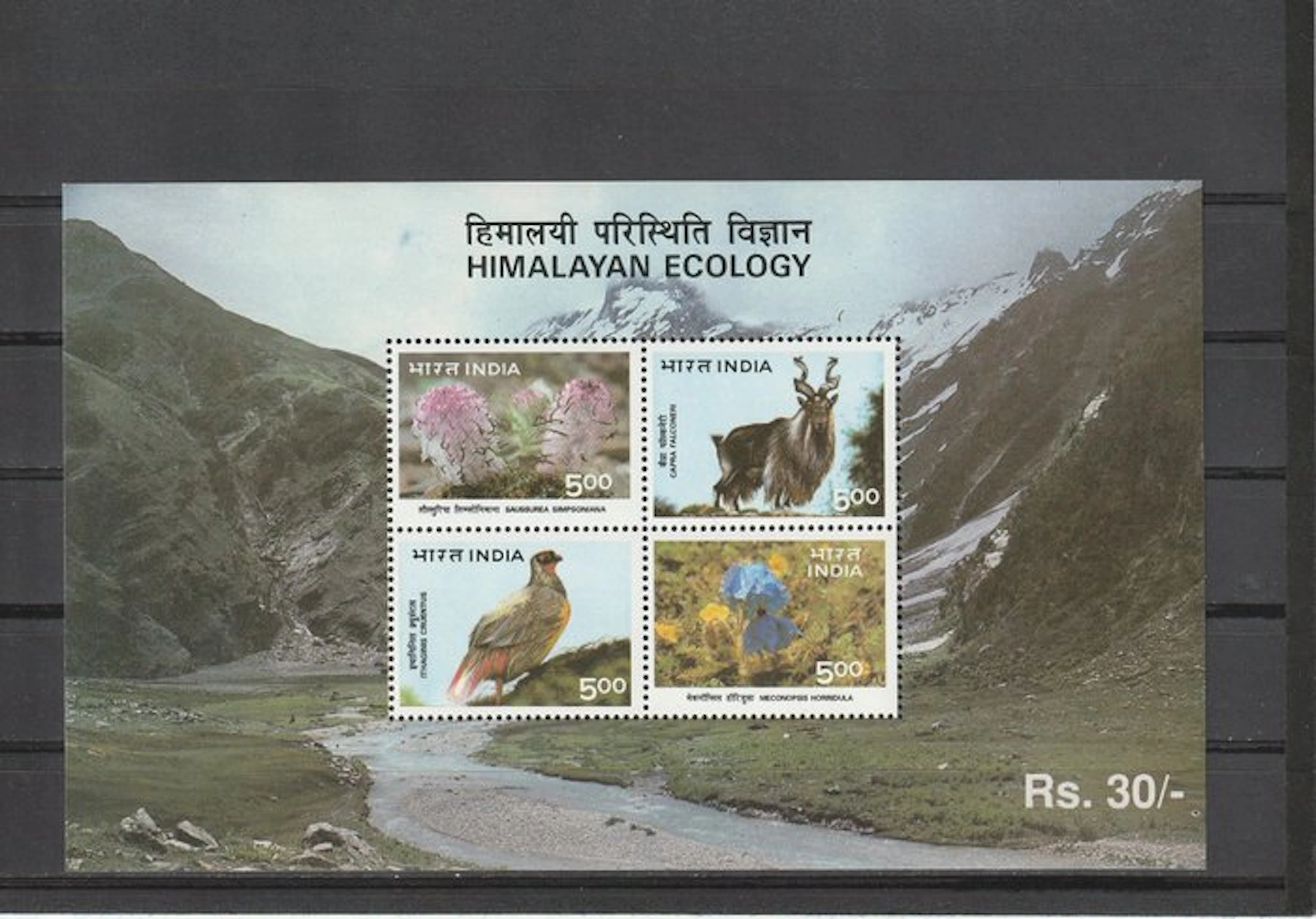 India 1996/2023 - Collection India Mint Never Hanged