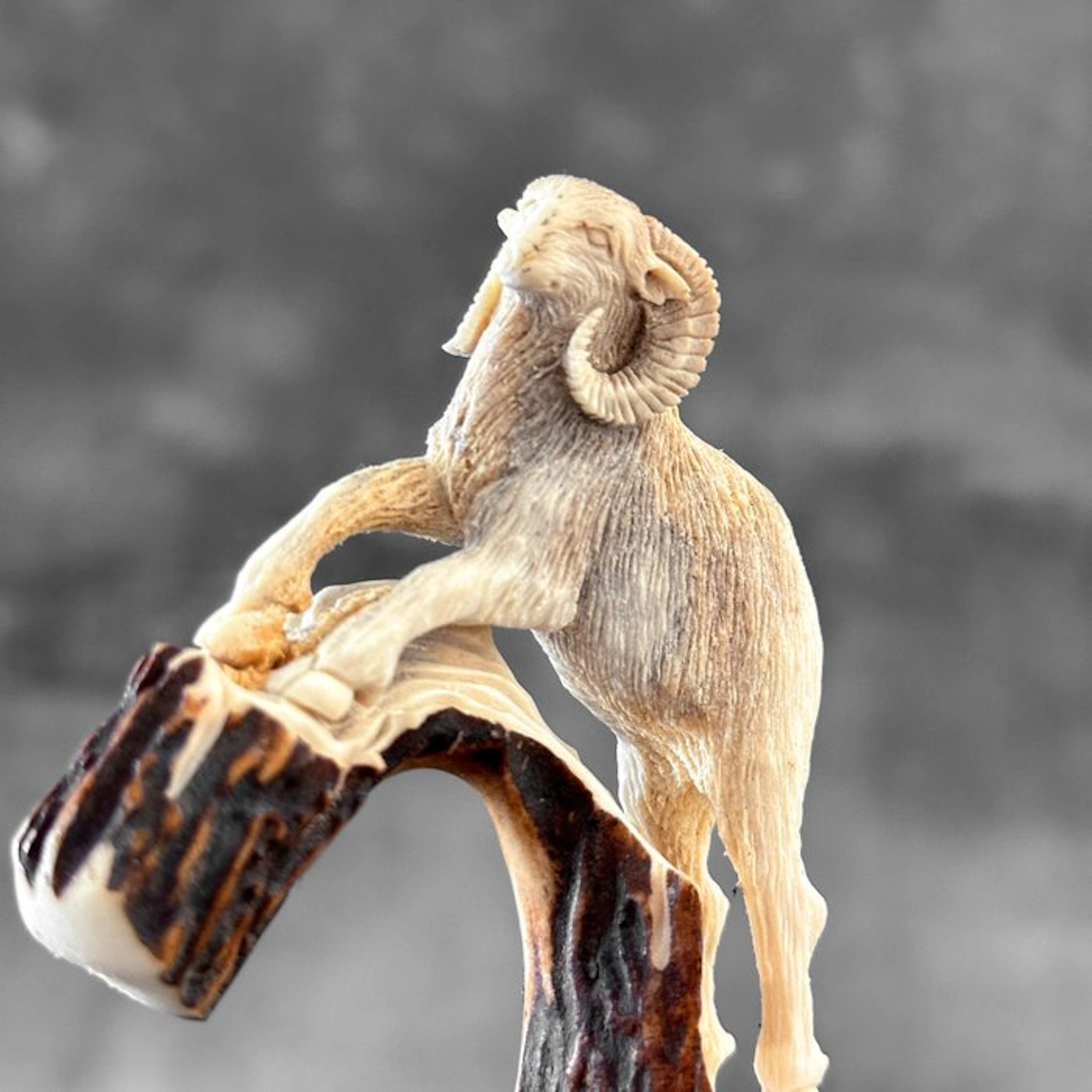 Carving, NO RESERVE PRICE - Stunning Goat Carving from a...