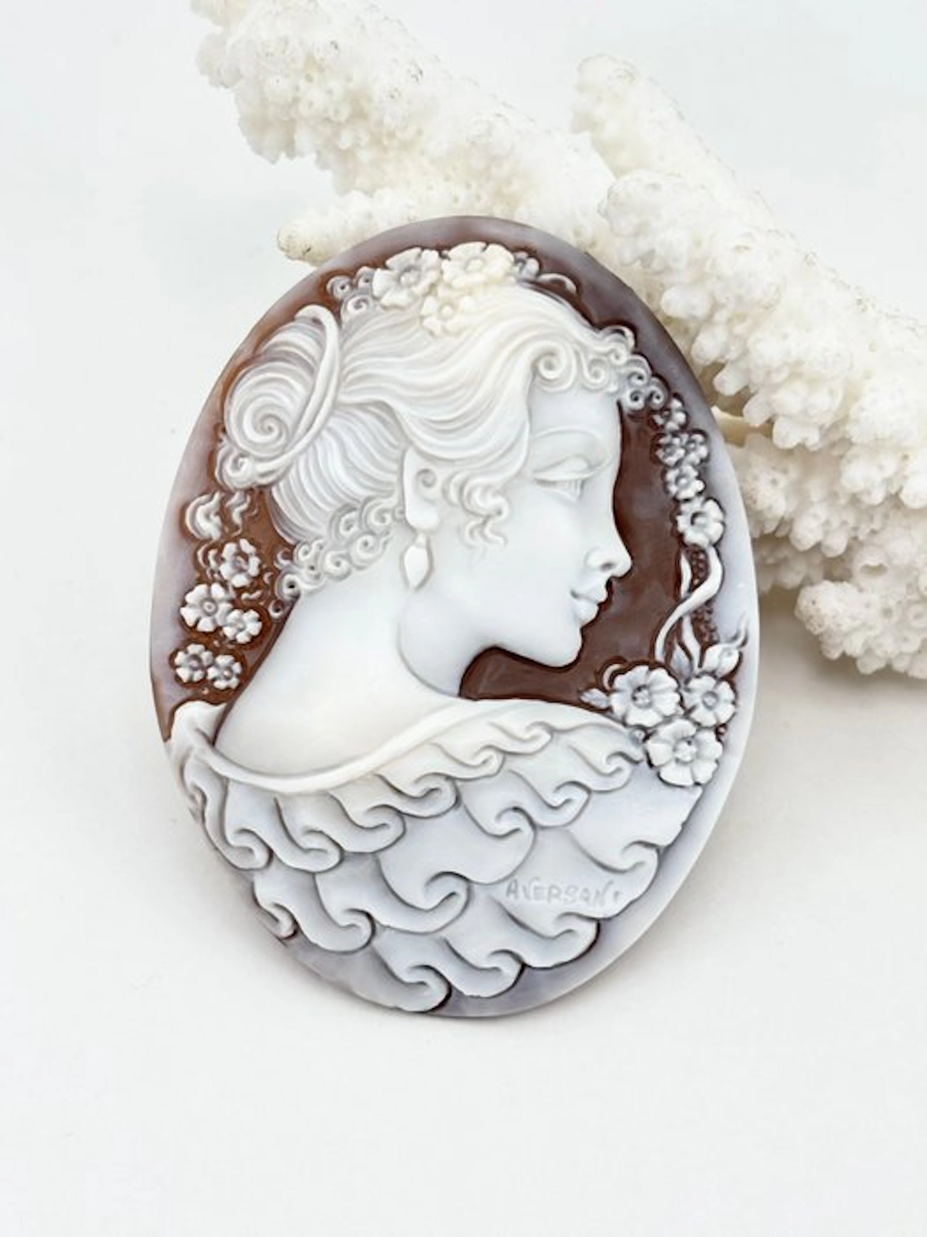 Cassis madagascariensis - Cameo - Hand-engraved cameo