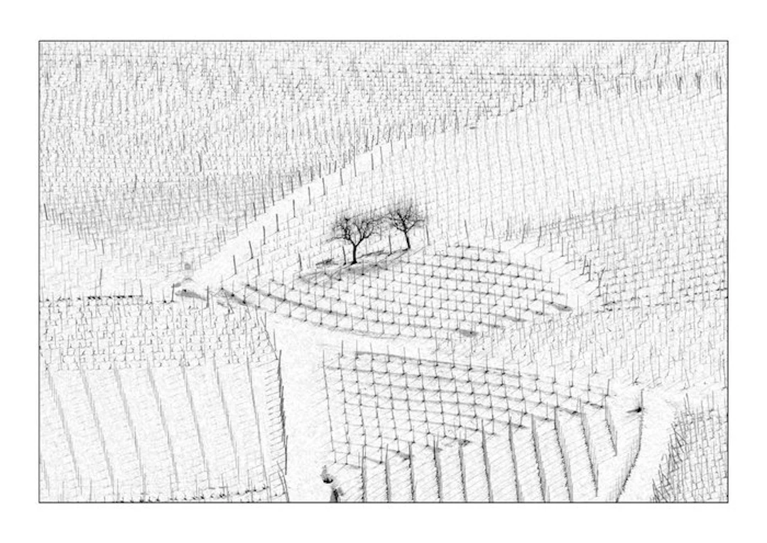 Franco Turcati - Langhe Inverno (356)