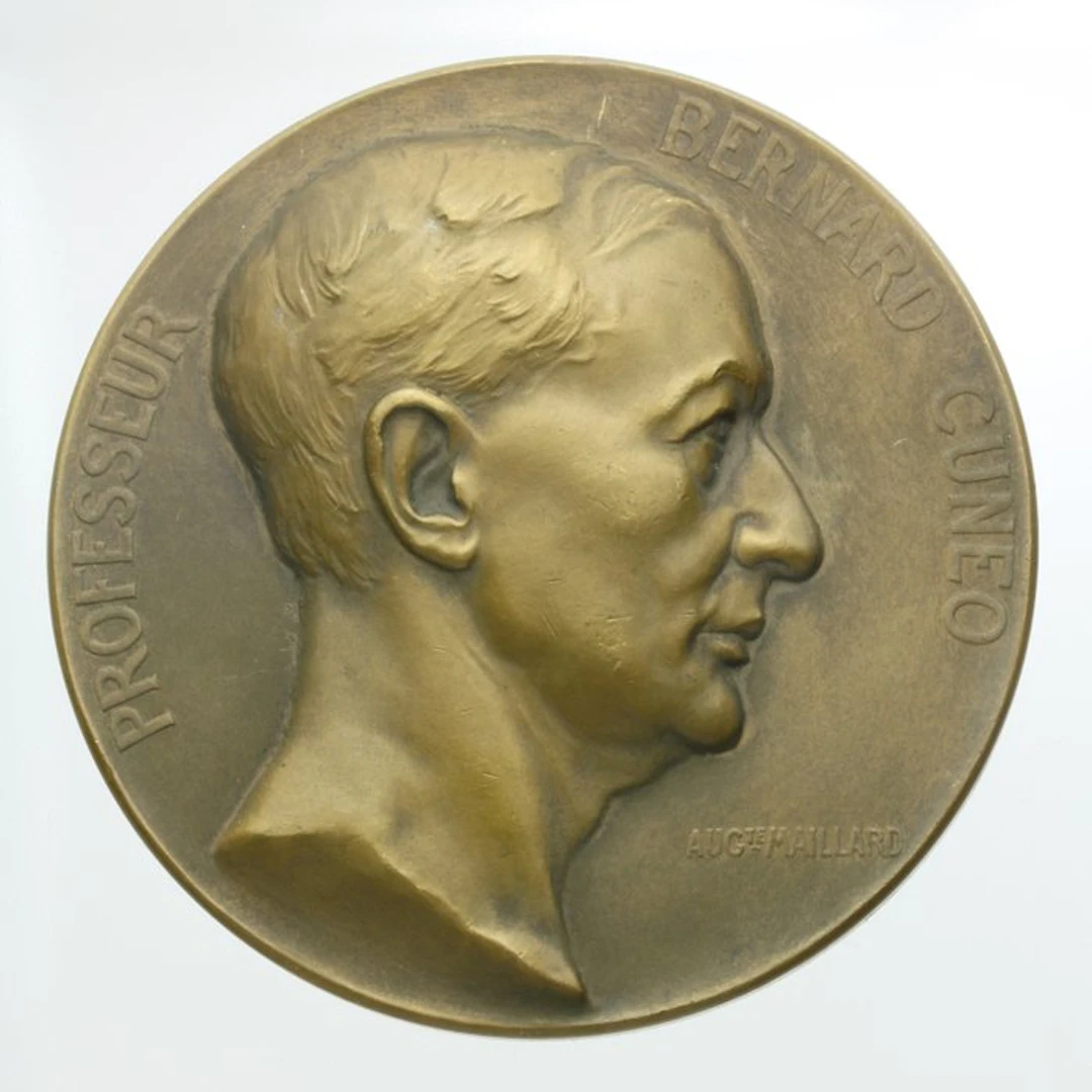 France. Médaille Bronze Professeur Bernard Cuneo