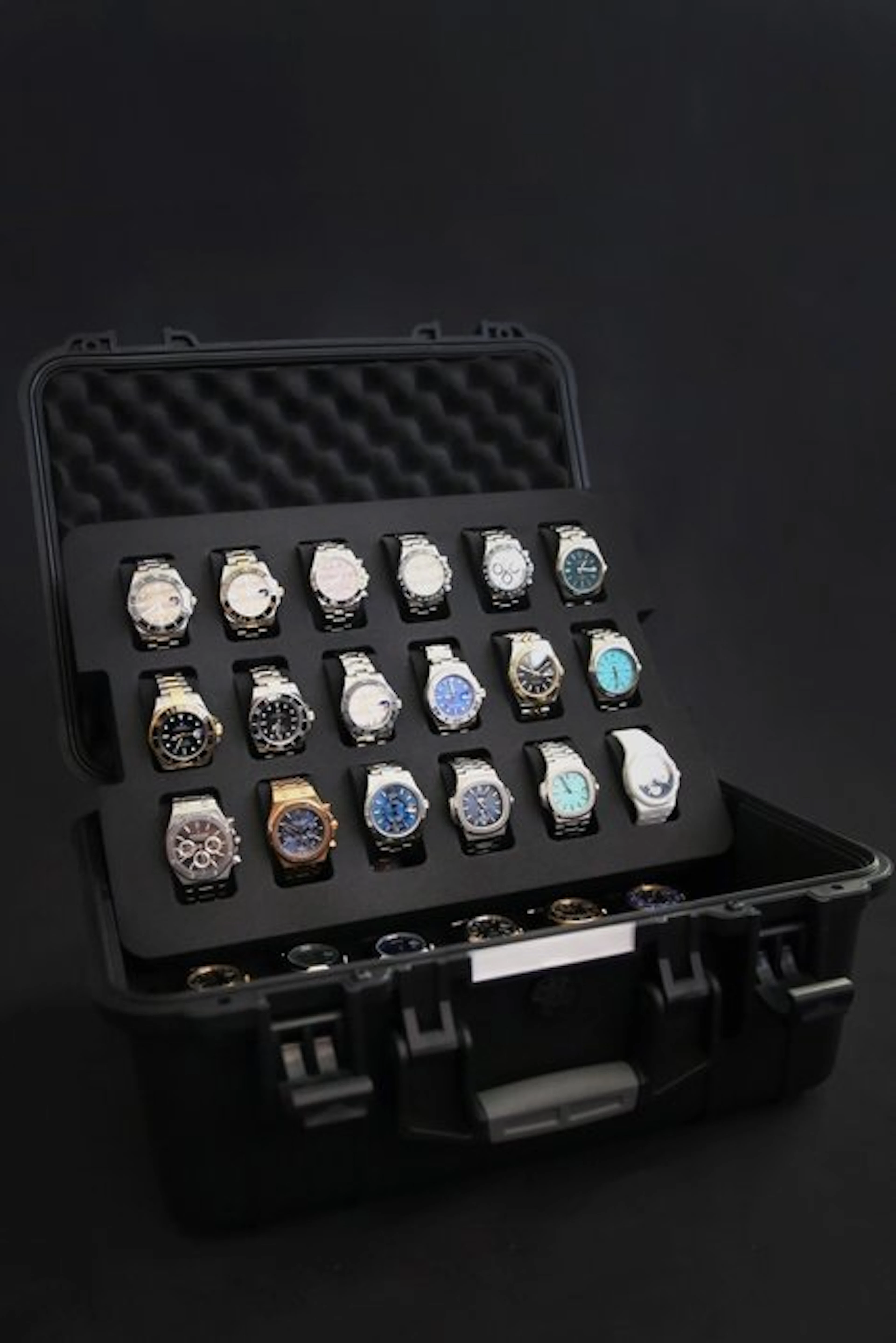 Indestructible Watch Suitcase for 36 Watches - Timepiece...