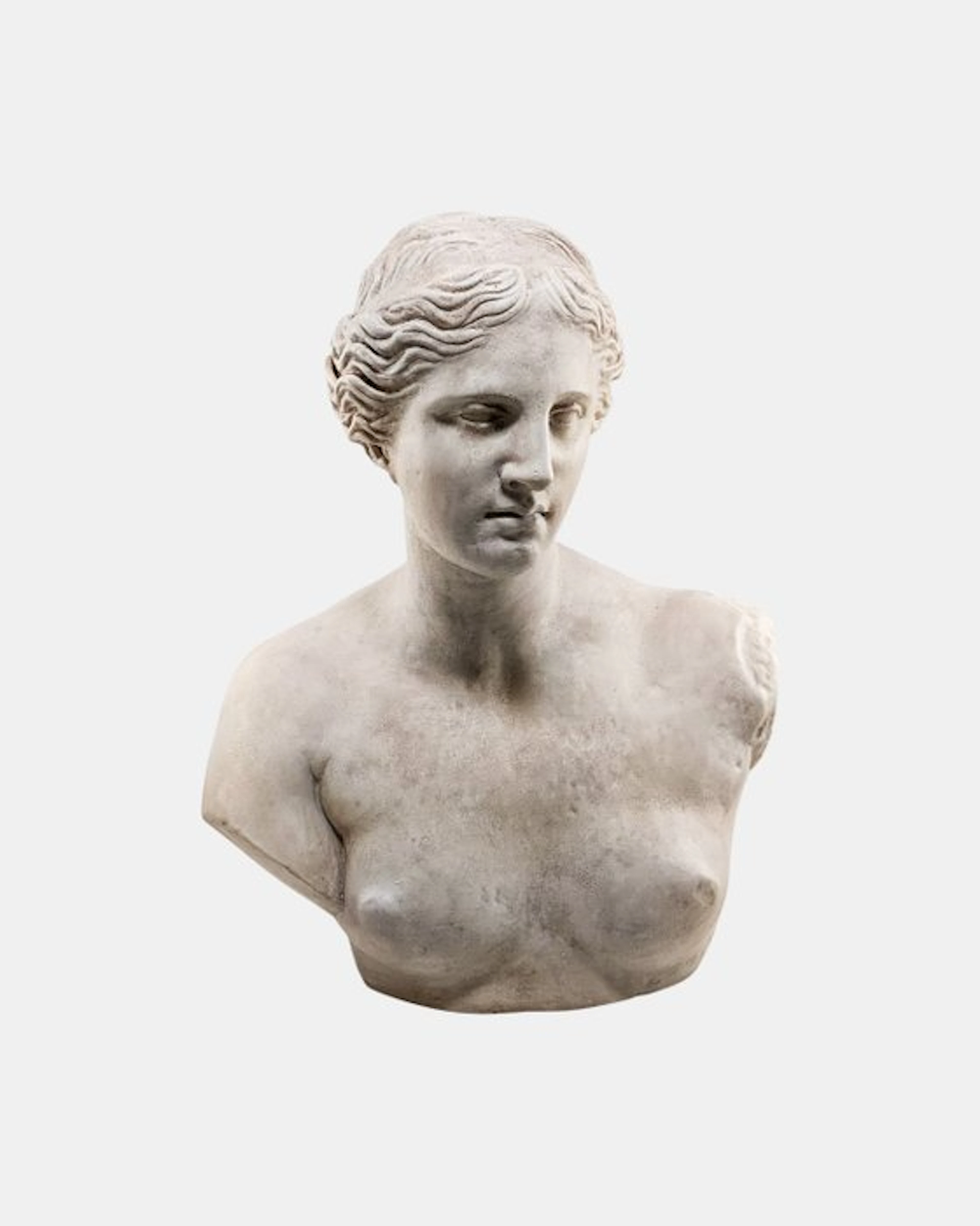 Sculpture, Mezzobusto Venere di Milo - 28 cm - Plaster - 2026