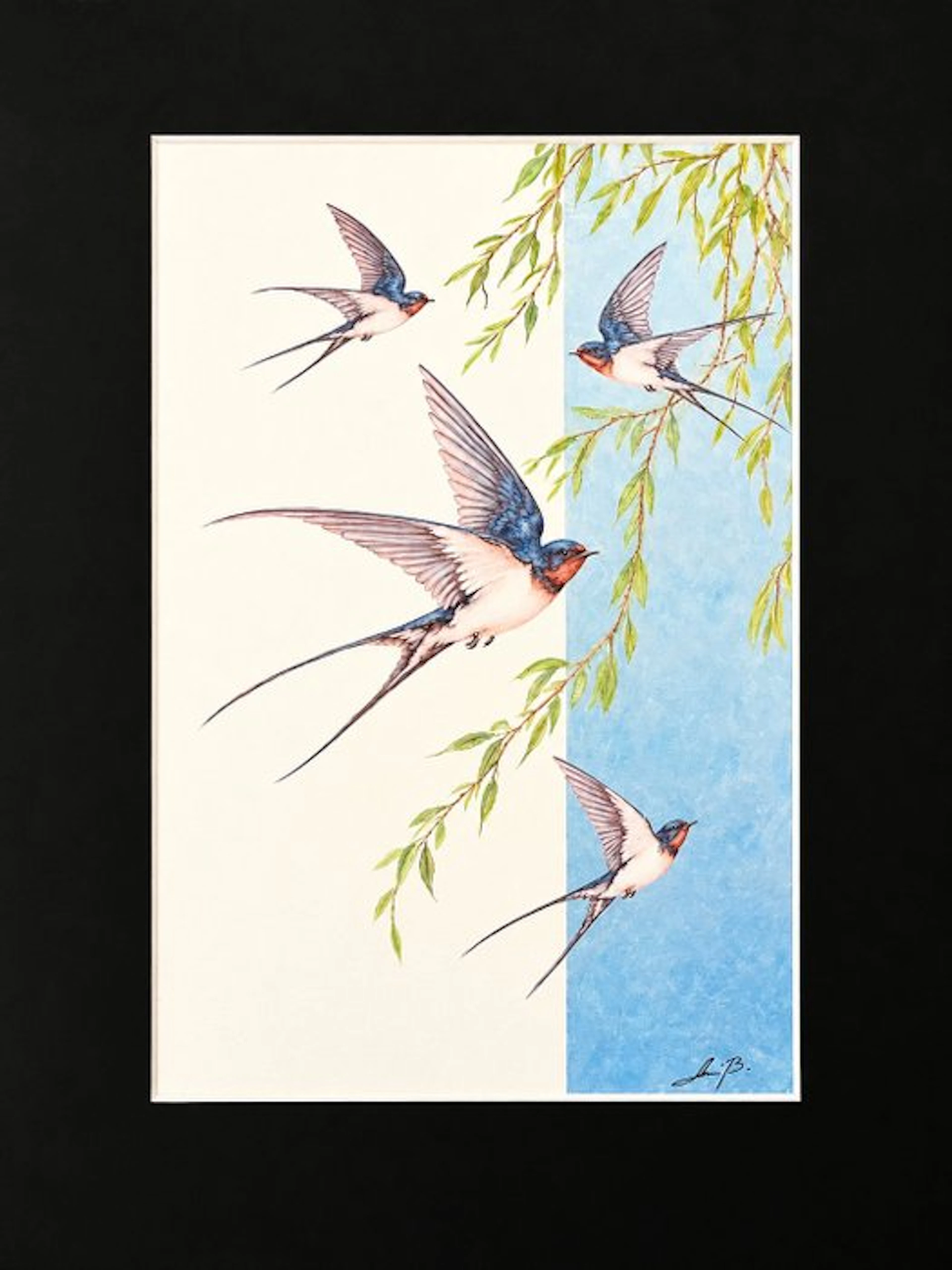 AniB. - SWALLOWS in Flight