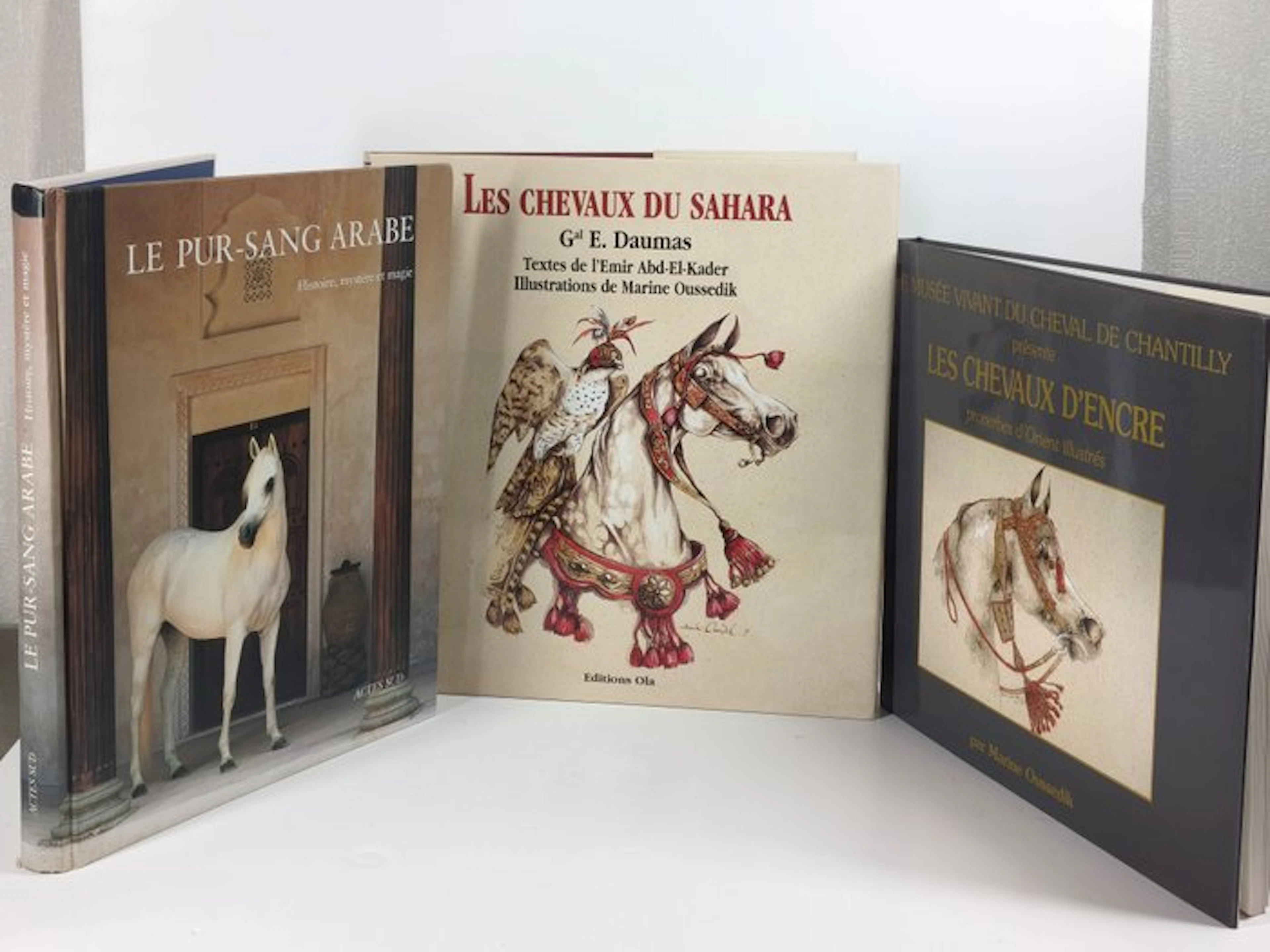 Marine Oudessik - Le pur-sang arabe: Histoire