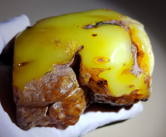 Baltic Amber- High Quality AAA - Museum- 288 g