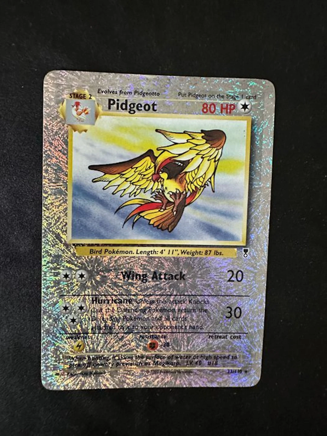 Pokémon Card - Pidgeot Holo