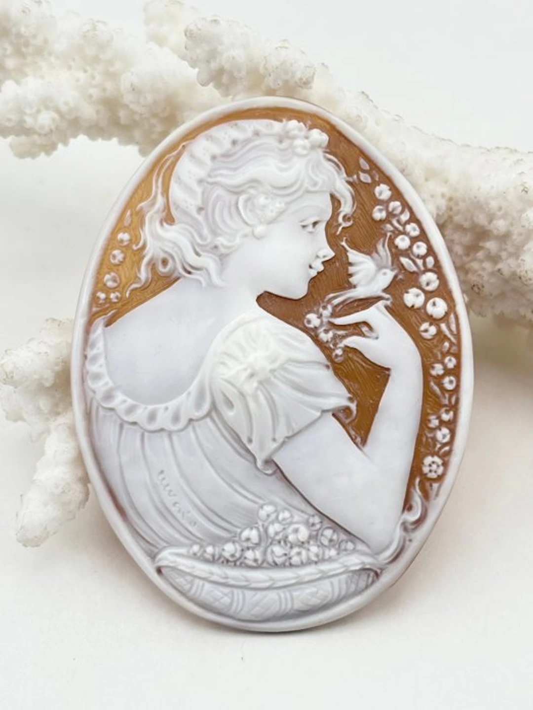 Cassis madagascariensis - Cameo - Hand-engraved cameo