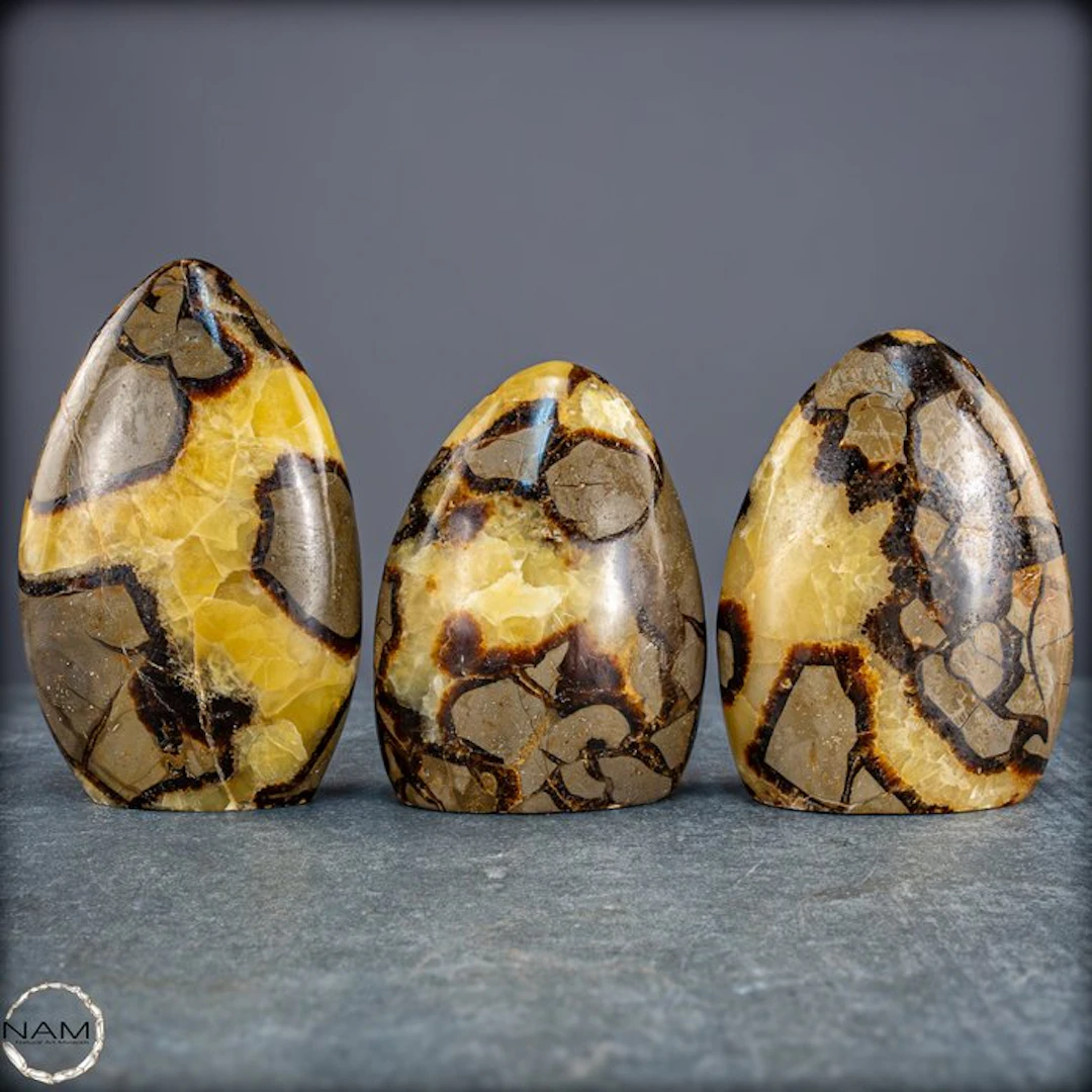 Powerful Earth energy – Exclusive Septarian Freeform Set...