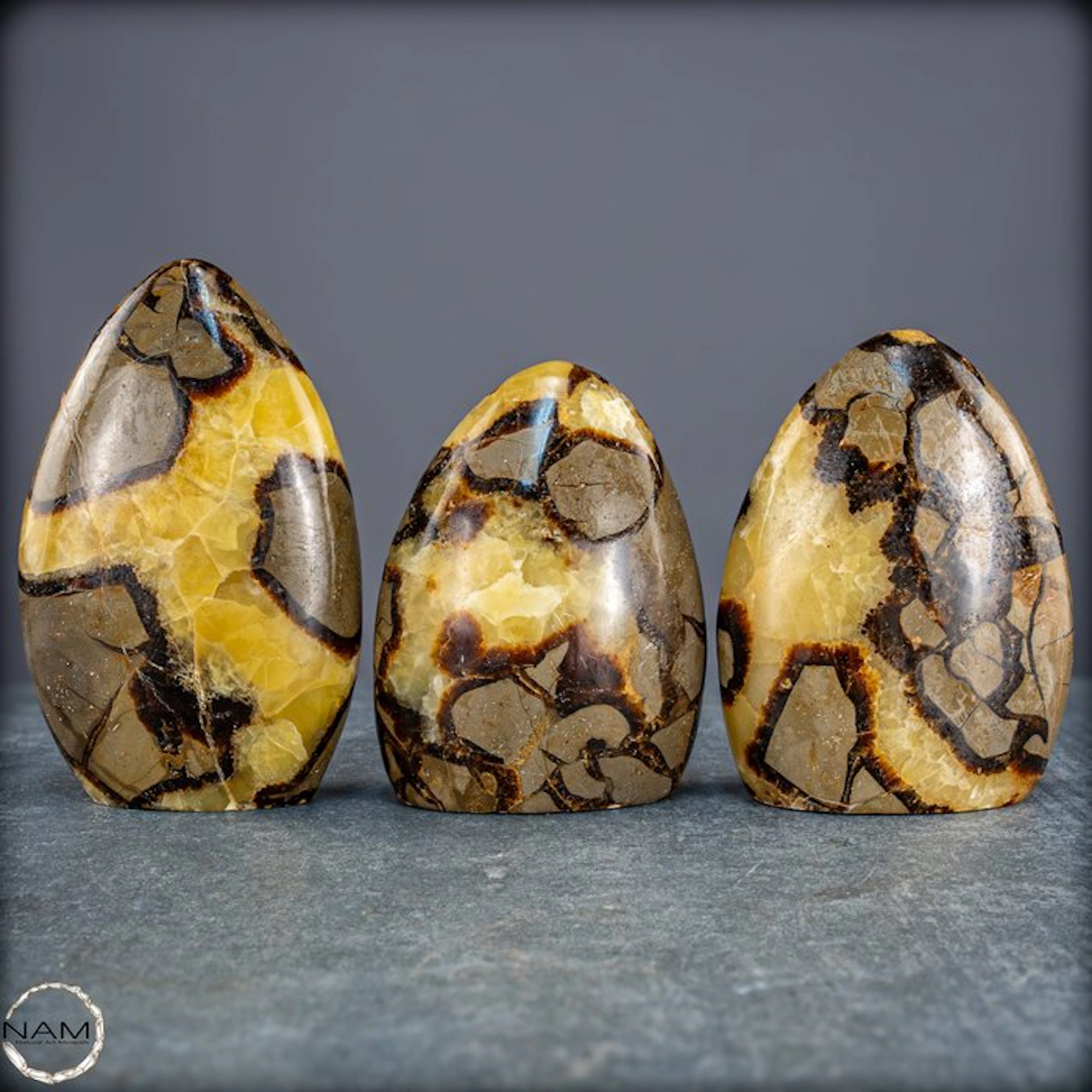 Powerful Earth energy – Exclusive Septarian Freeform Set...