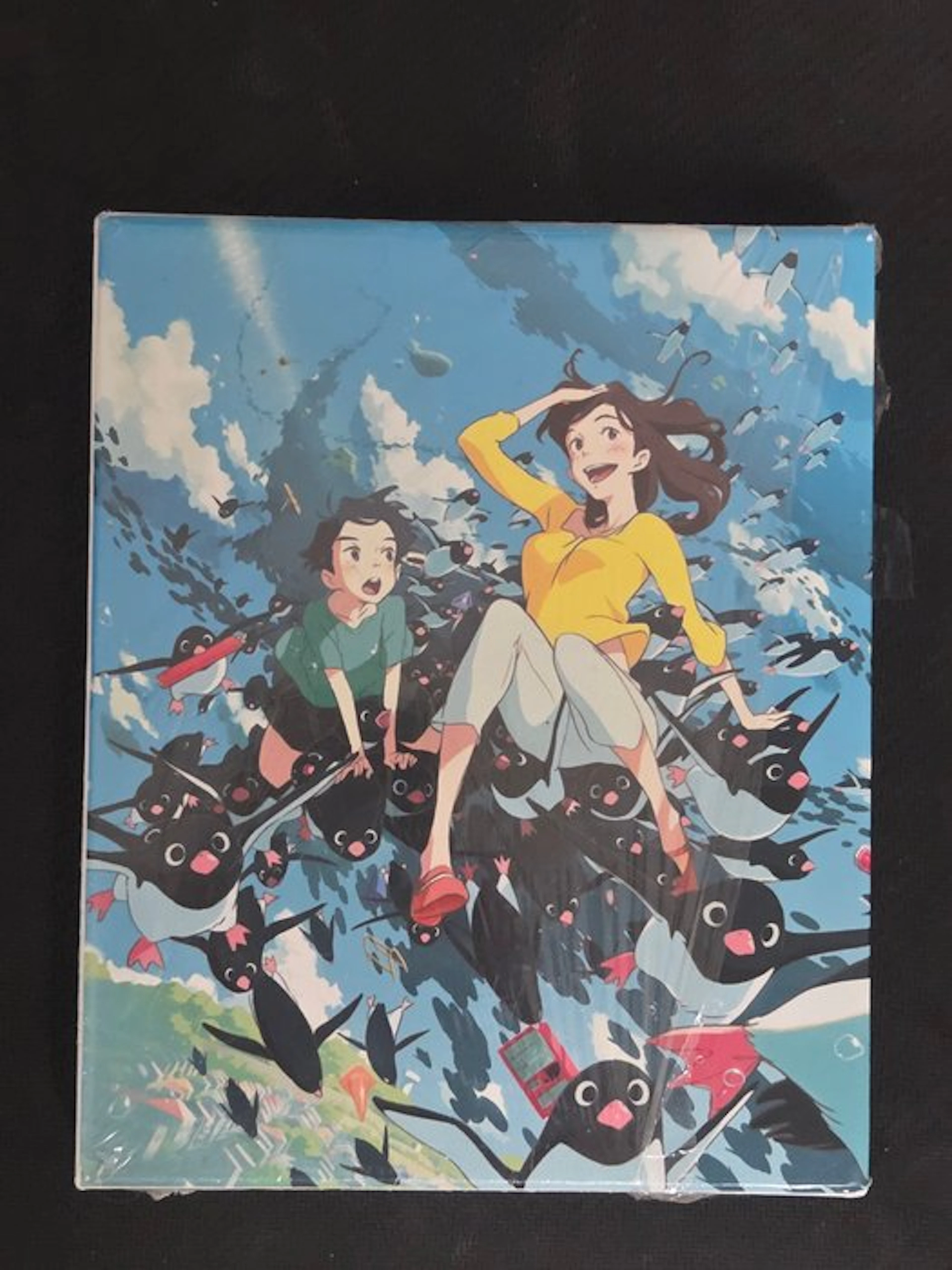 Penguin Highway - Hiroyasu Ishida - All The Anime