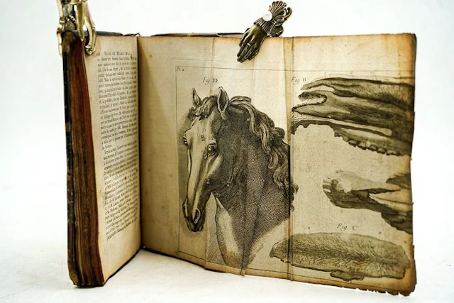 Lafosse - Guide du Maréchal - 1766