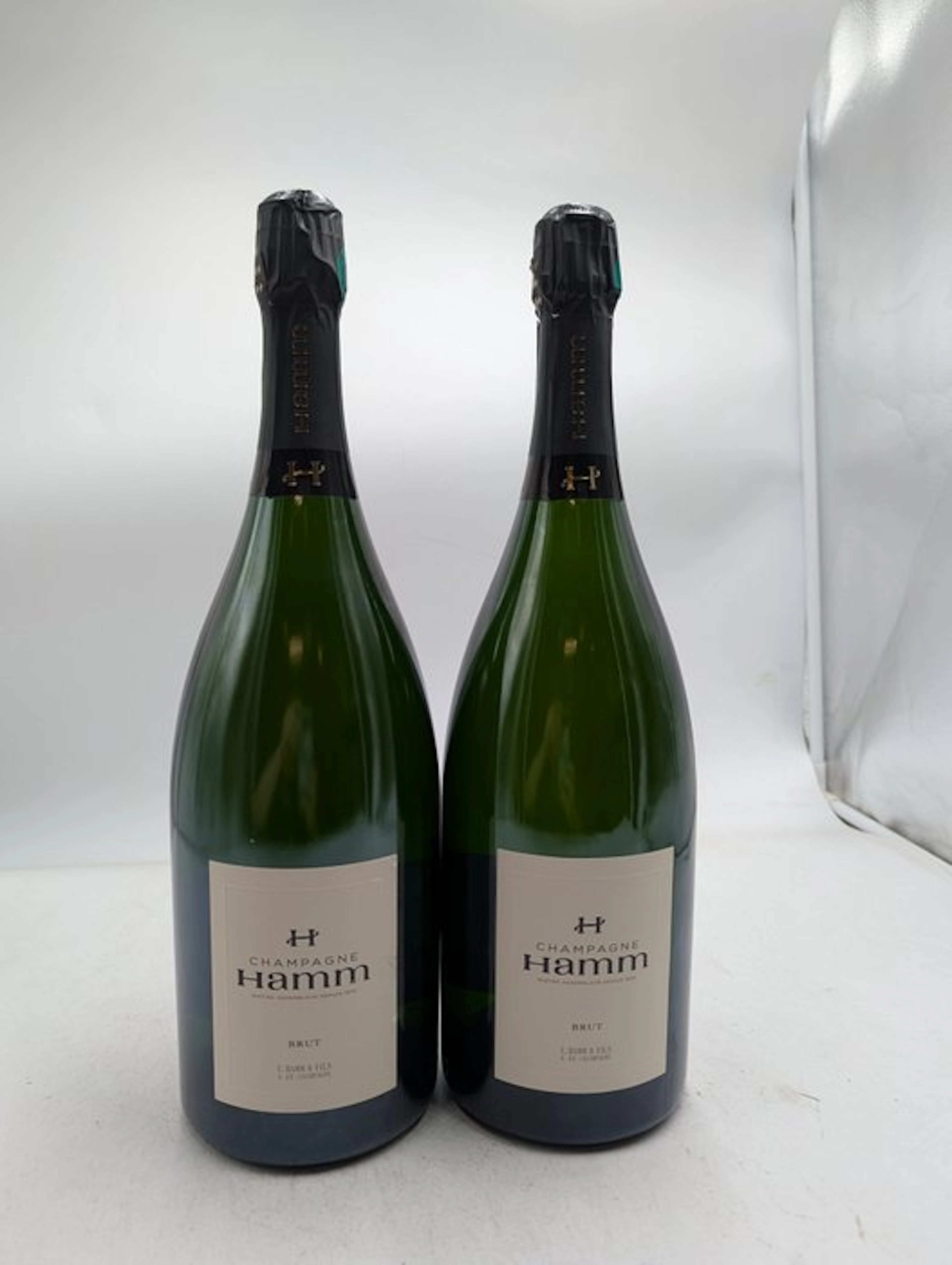 Hamm brut - Champagne Brut - 2 Magnums (1.5L)