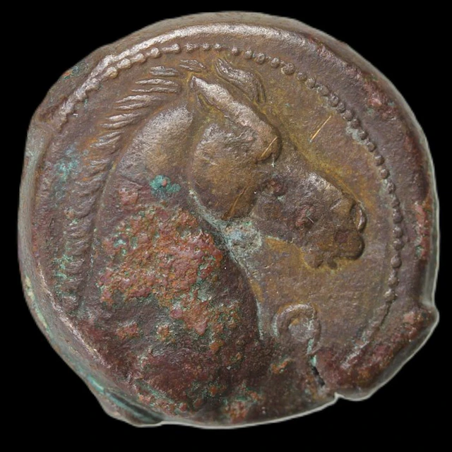 Zeugitana