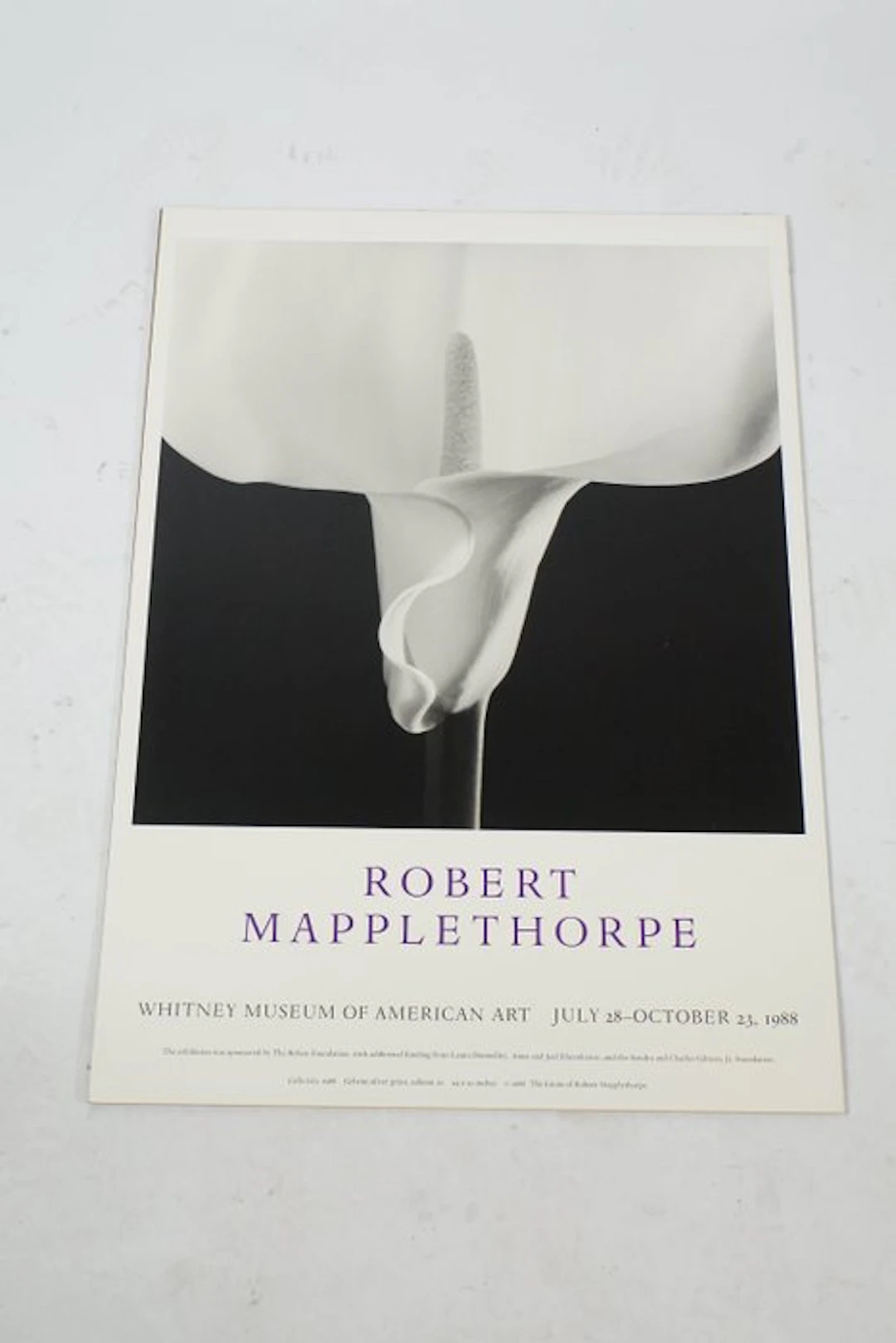 Robert Mapplethorpe - ROBERT MAPPLETHORPE - 1980s