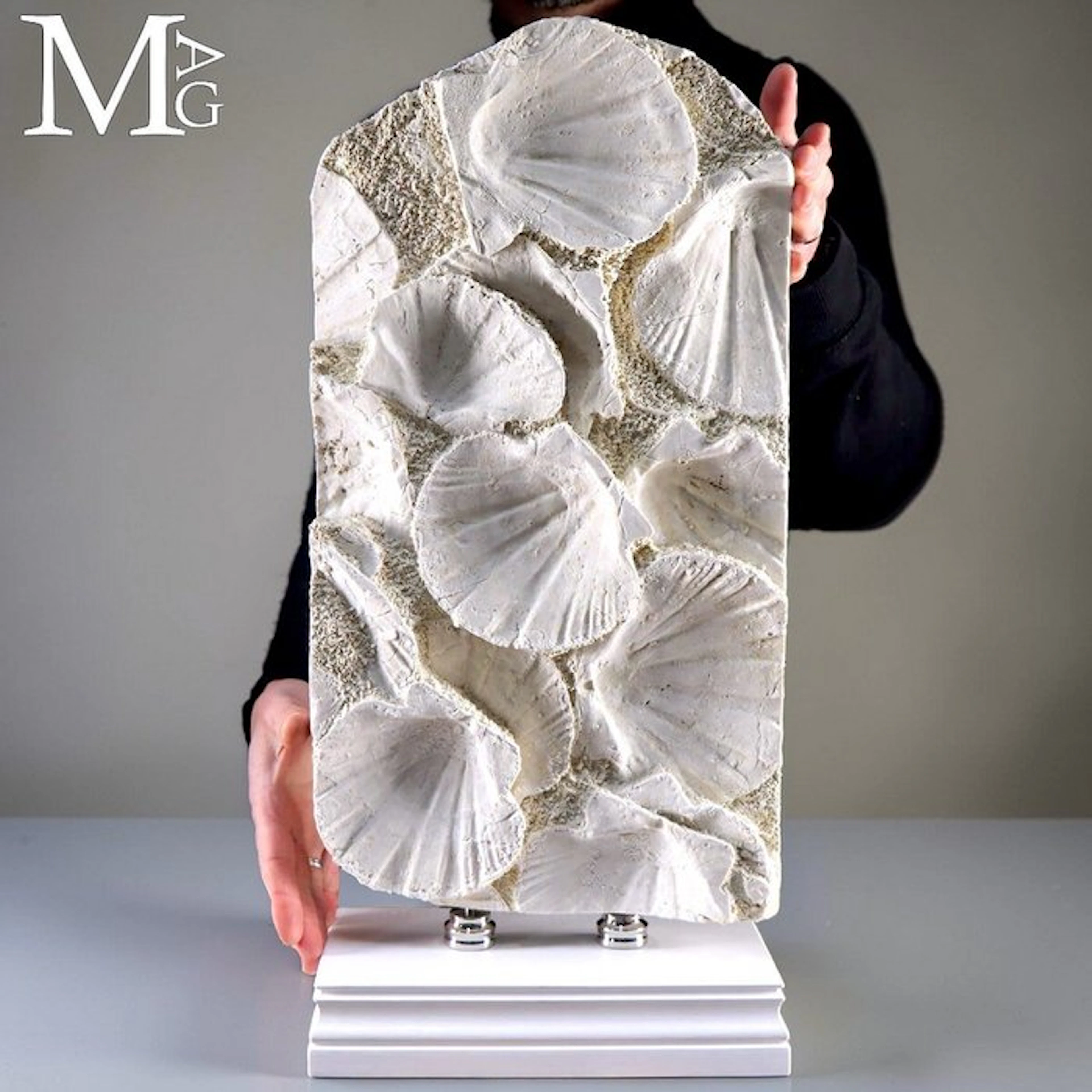 Exquisite Fossil Pecten Bivalve Shells Slab - Preserved...