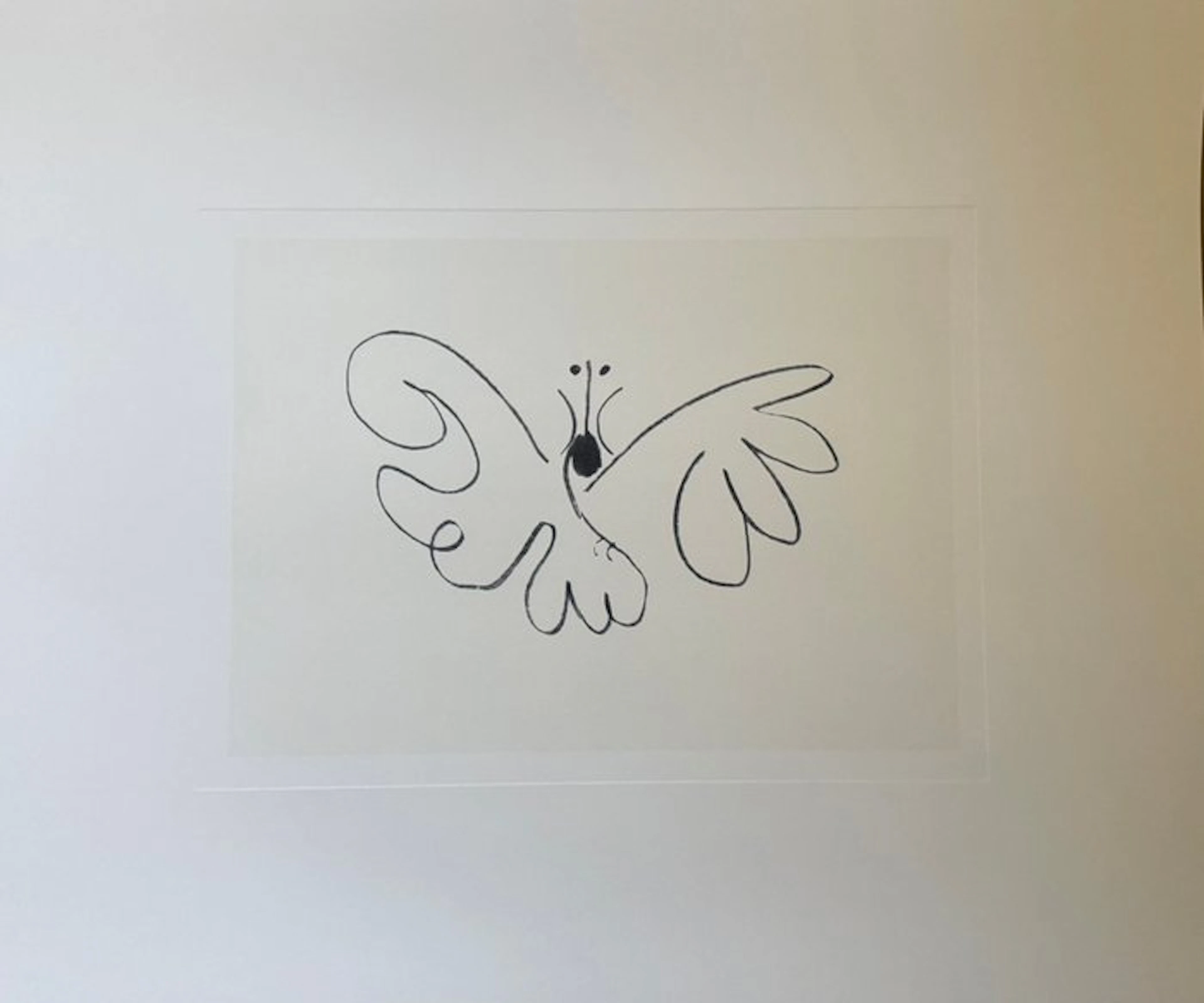 Pablo Picasso (1881-1973) - "Le Papillon, 1936". - 60 x 50 cm.