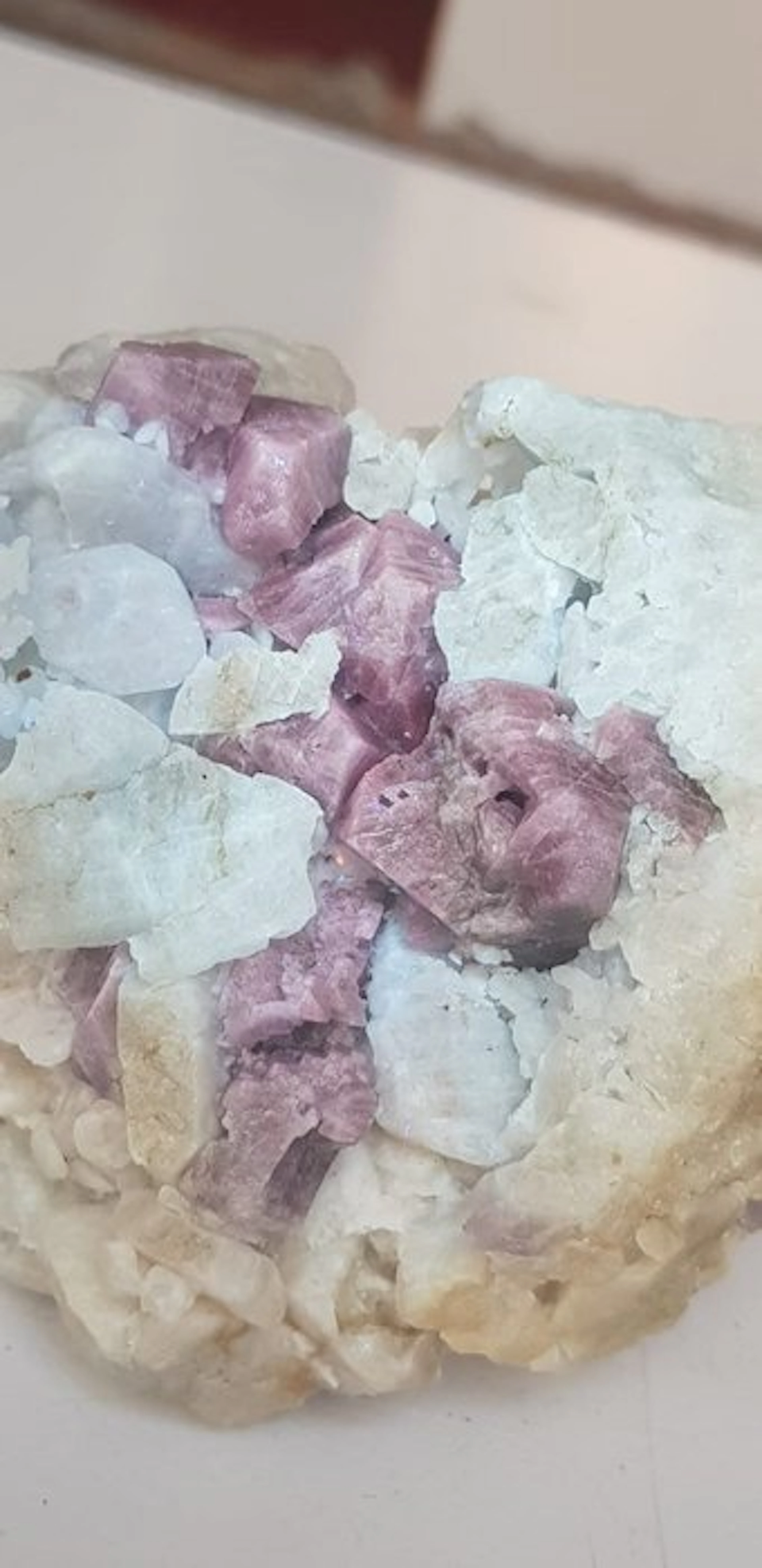 Florescent Spinal cluster Specimen under UV light Mineral...