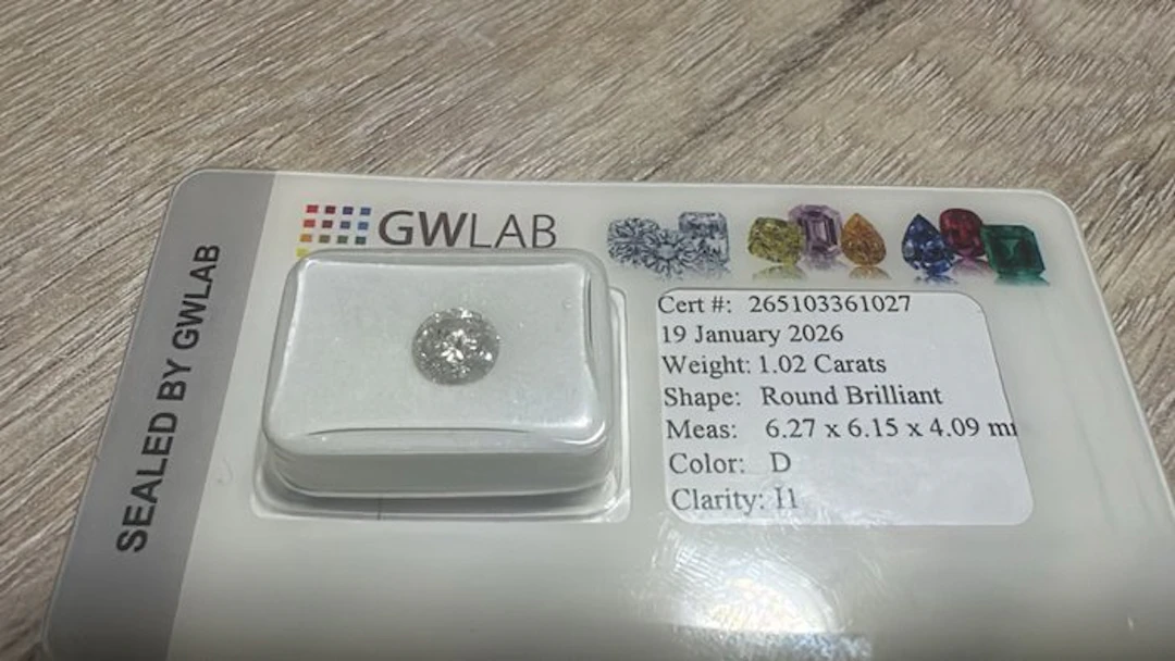 No reserve price - 1 pcs Diamond (Natural) - 1.02 ct...