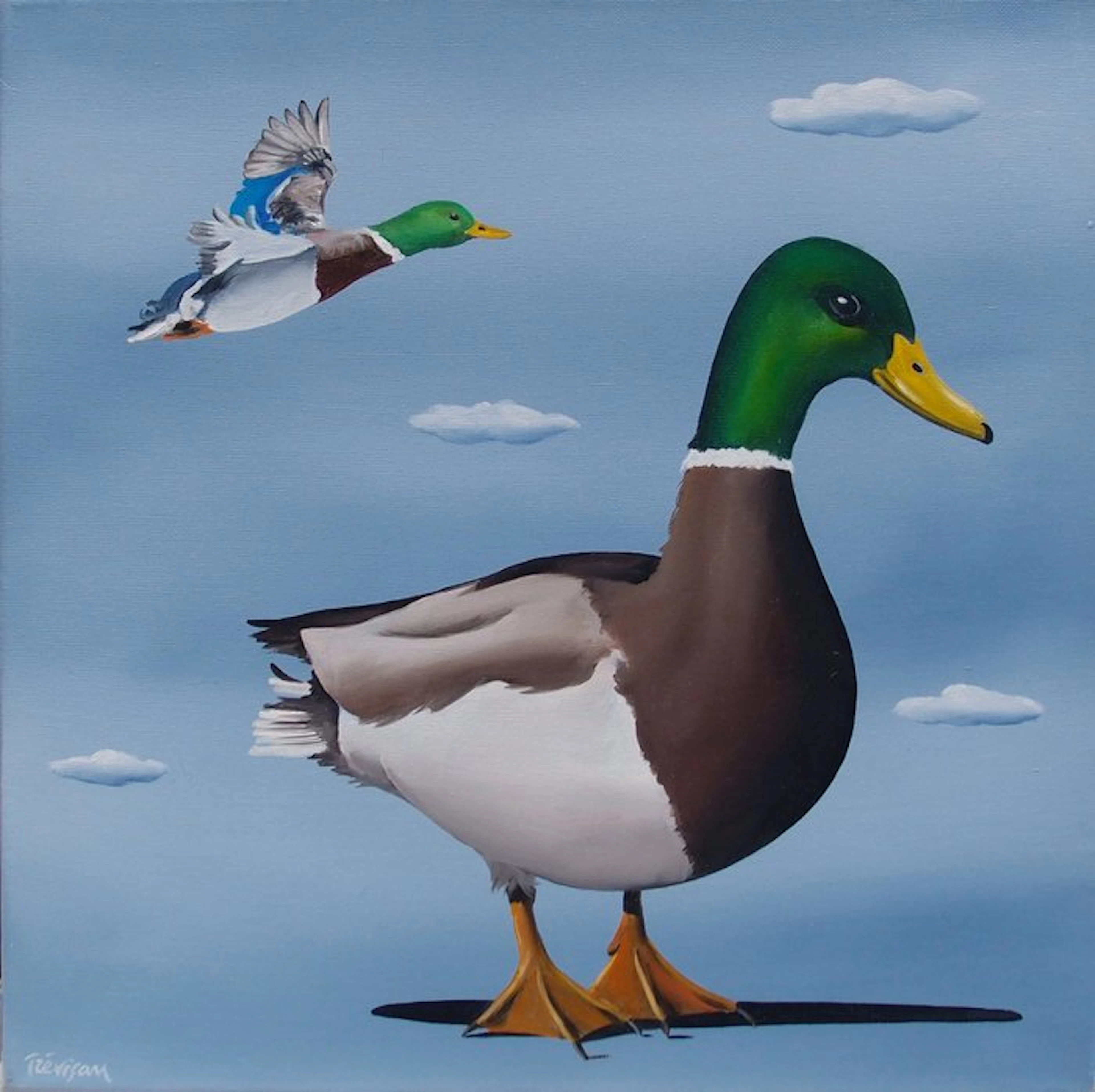 Trevisan Carlo - Ducks