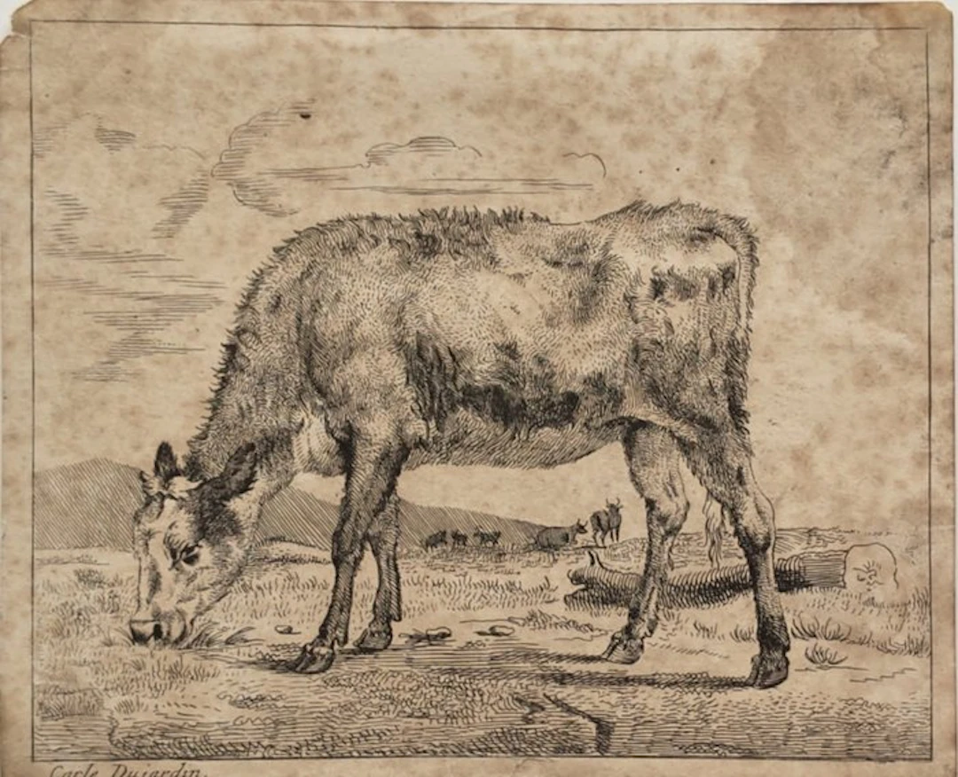 Du Jardin Karel (1622 Ca./ 1678) - Grazing Calf