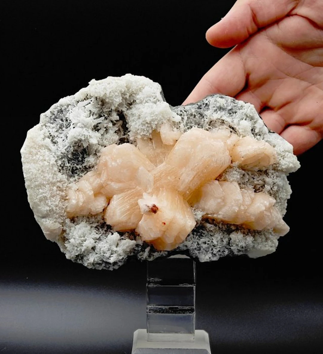 Magnificent pink Stilbite tufts on chalcedony Crystals on...