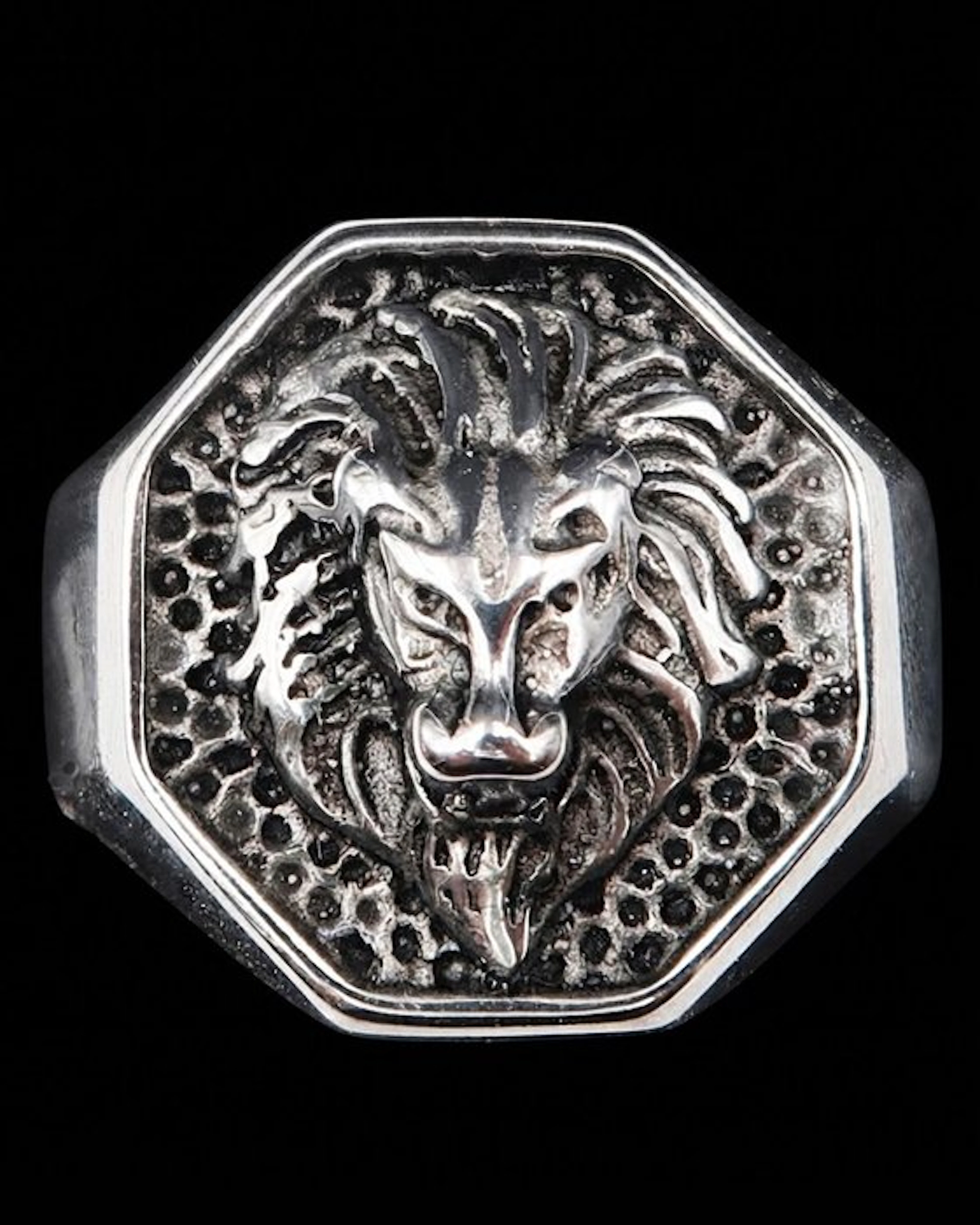 Crusader Lioness - The Insignia of Medieval Christendom...