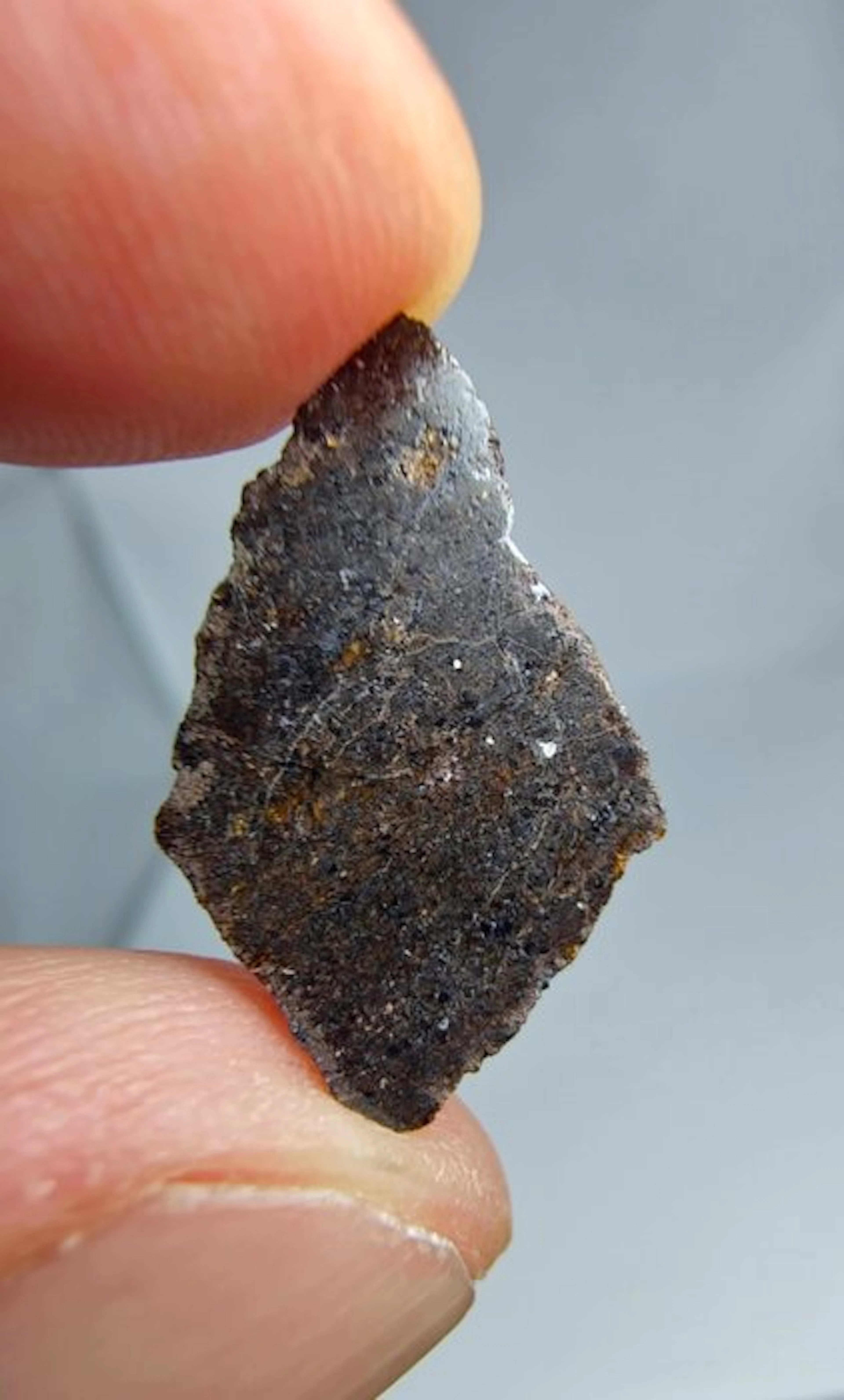 Meteorite Plutonic Angrite, Rafsa 007. Very Rare, No Reserve. - 1.13 g