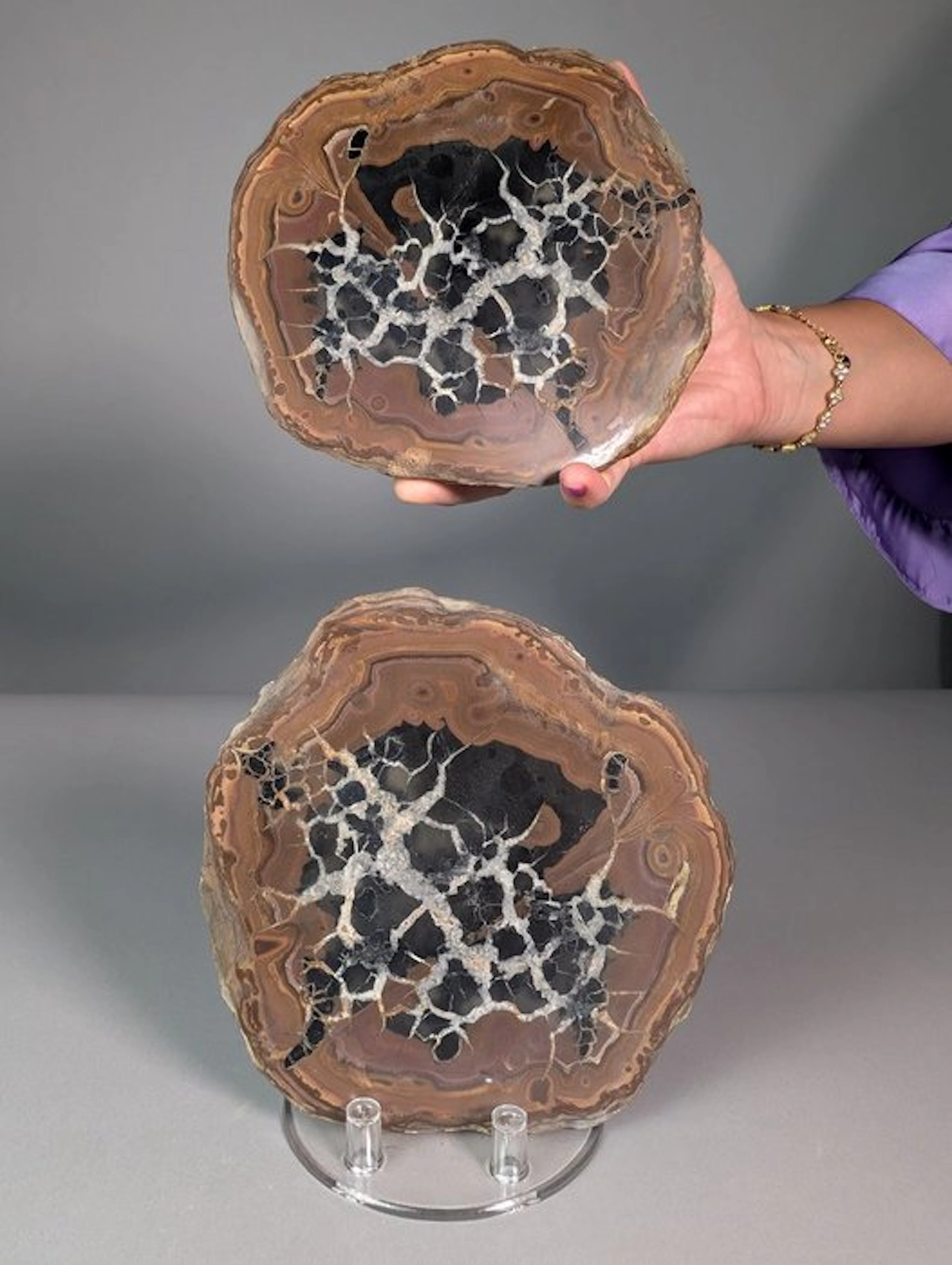 Sectioned Septaria Nodule - top quality Nodule - Height...