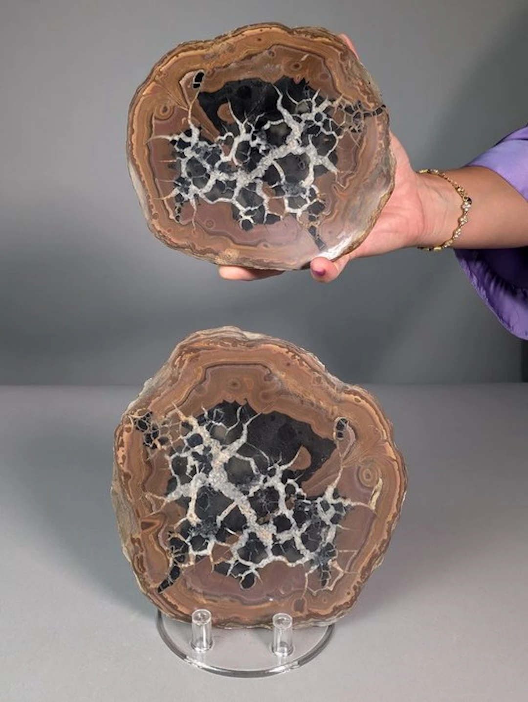Sectioned Septaria Nodule - top quality Nodule - Height...
