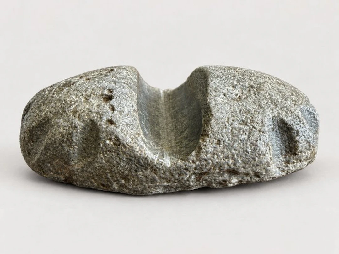 Neolithic Superb Polisher (No reserve price)
